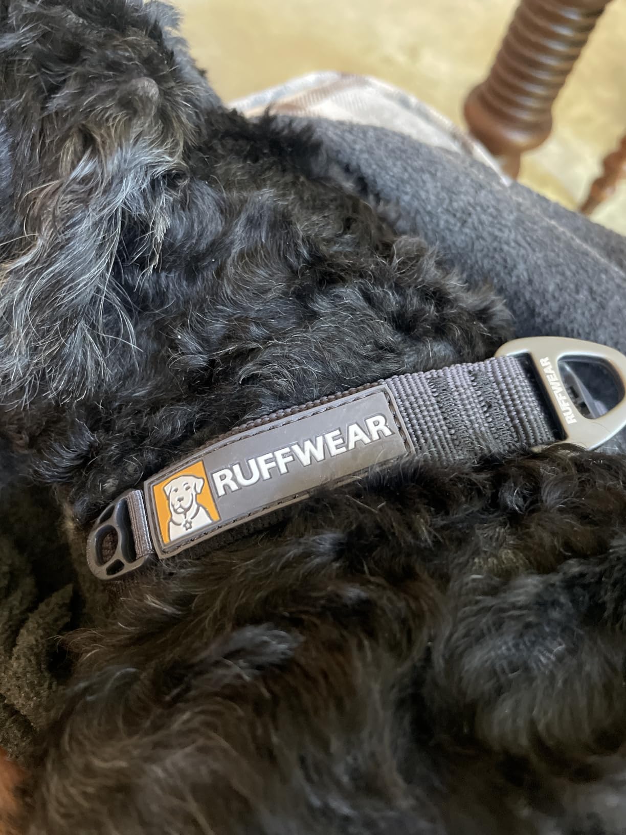 Ruffwear, Front Range Dog Collar, Blaze Orange, 14