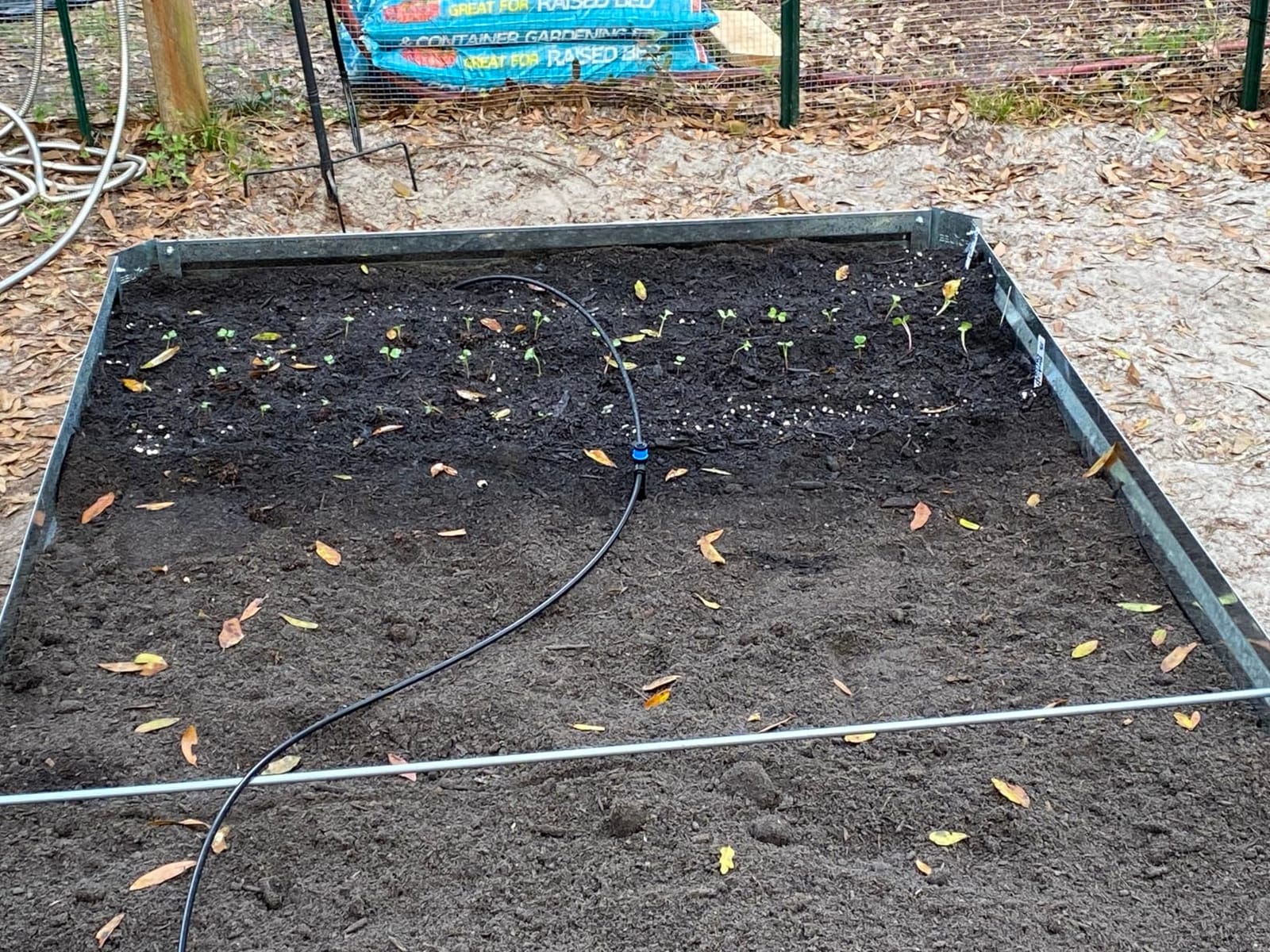 55FT Quick-Connect Drip Irrigation Kit, Garden Watering System DIY Automatic Irrigation Equipment Set for Lawn Raised Bed Greenhouse Plant Watering with 1/4'' Tubing, Drip Emitters, Connectors customer photo 1