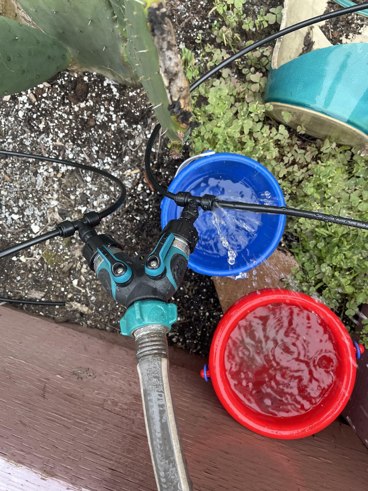 55FT Quick-Connect Drip Irrigation Kit, Garden Watering System DIY Automatic Irrigation Equipment Set for Lawn Raised Bed Greenhouse Plant Watering with 1/4'' Tubing, Drip Emitters, Connectors customer photo 2