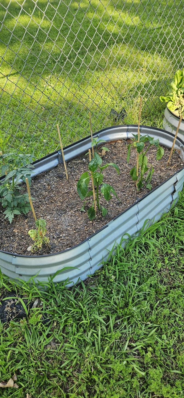JERIA 6×3×1ft Raised Garden Bed with Support Rods, Galvanized Raised Garden Bed Kit Outdoor Metal Gardening Planter Box for Vegetable, Fruits, Flower customer photo 2