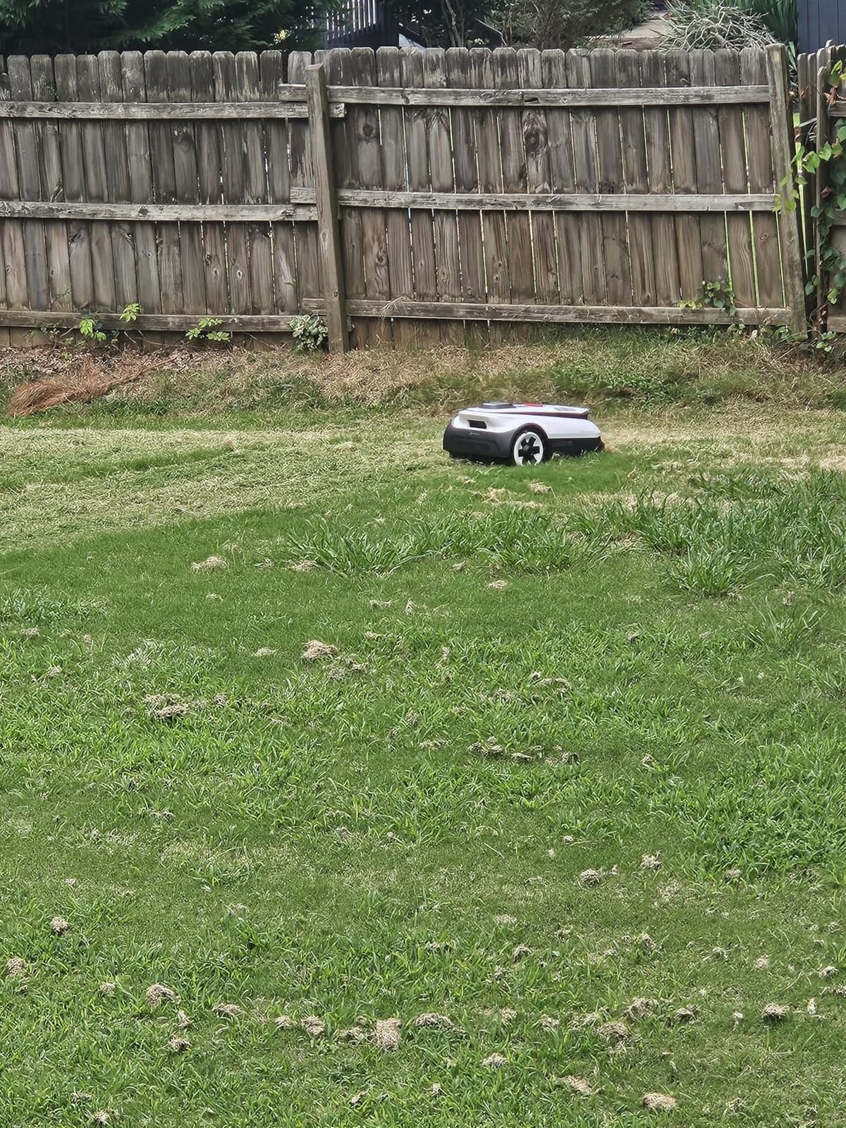 ECOVACS Goat A2500 RTK Robot Lawn Mower, Lidar-Enhanced RTK+Vision Navigation, Auto-Mapping, Dual Blades, Edge Precision Mowing, Perimeter Wire-Free, Suitable for 5/8 Acres Lawn, 50% Slope Capability customer photo 2