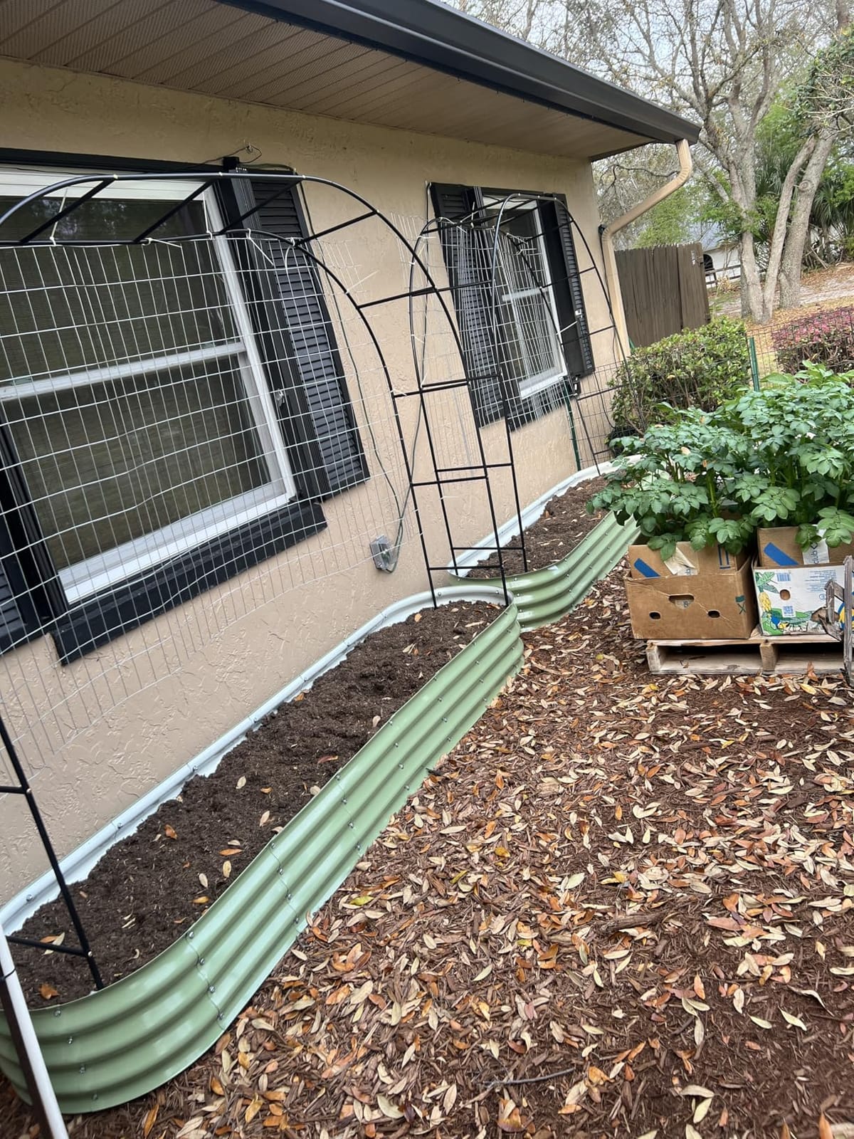 Winpull Raised Garden Bed Kit, 5x2x1 ft Galvanized Planter Box Outdoor with Safety Edging, Large Metal Raised Beds for Gardening Vegetables Flower Fruits (Avocado Green) customer photo 2