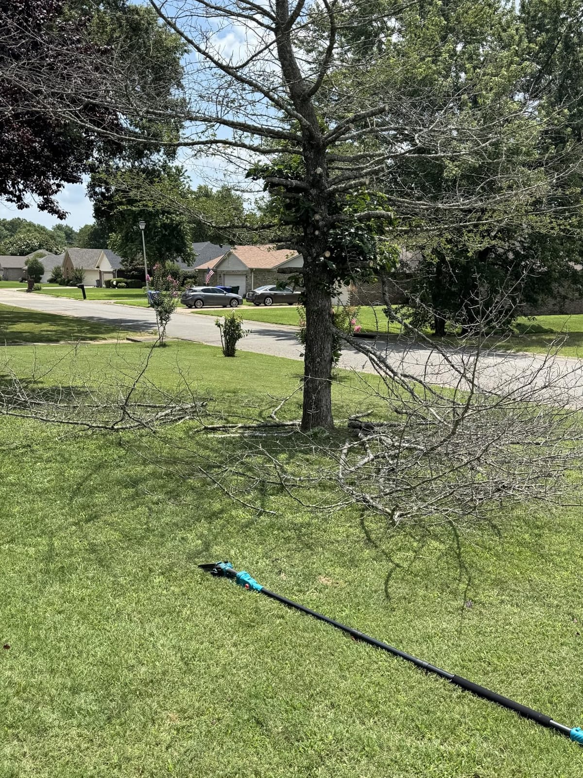 2-in-1 Cordless Pole Saw & Mini Chainsaw with Extension Pole | Electric Handheld Chain Saw with 2x21V 4.0Ah Rechargeable Batteries, Auto Oiling, Max 16Ft Saw for Tree Trimming customer photo 2
