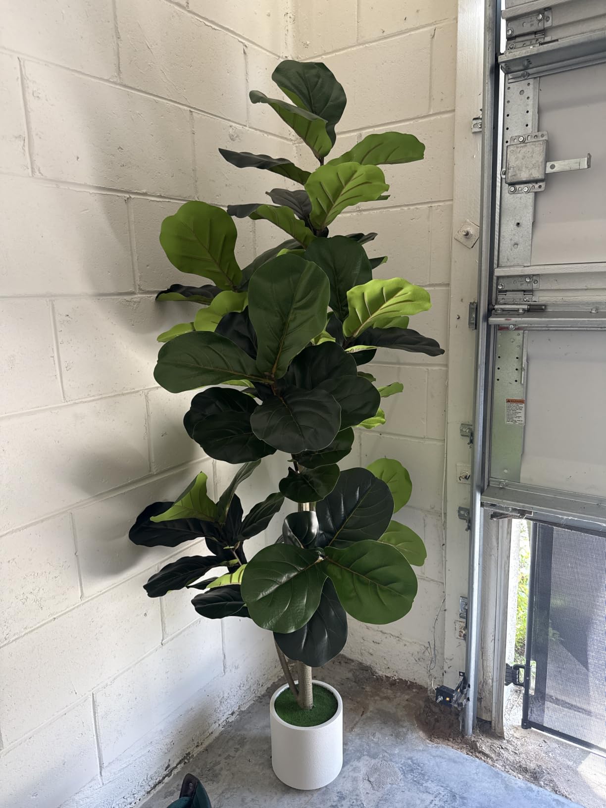 VIVATREES 5FT Fiddle Leaf Fig Artificial Tree with White Planter Pot, Faux Floor Plant, Indoor and Outdoor Fake Plants for Home Office Decor customer photo 1