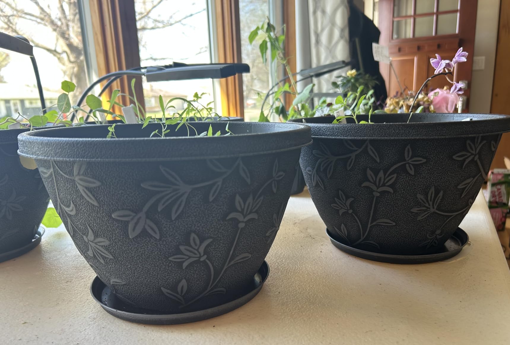 Nooulap 4 Pack 10 Inch Flower Pots, Plastic Outdoor Planters, Gray | Plant Pots with Drainage & Saucer, Indoor Outdoor Use, Lightweight Small Resin Planter, Imitation Magnolia, Garden Home Decor customer photo 1