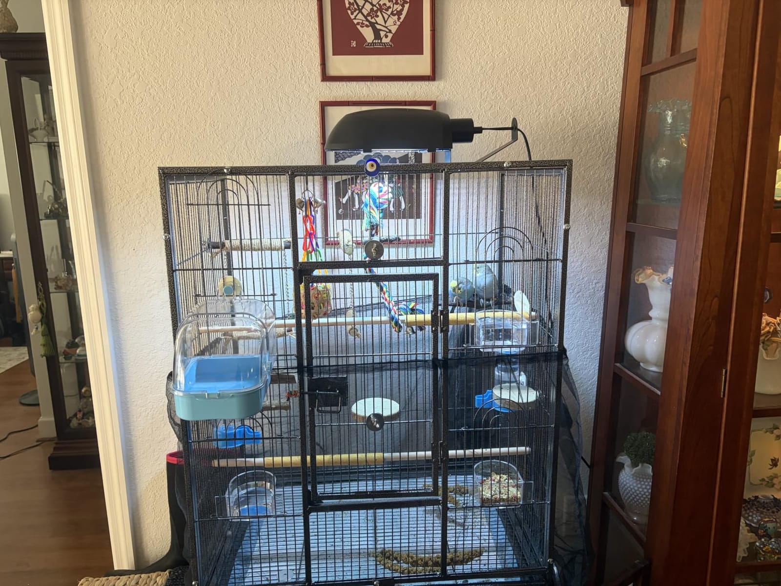 VINGLI 53-inch Bird Cage with Wheels, Durable Wrought Iron Parakeet Cage with Slide Out Tray, Black Bird Cages for Parakeets/Lovebird/Cockatiels/Budgies and Other Small/Medium Birds (Black, 53 inch) customer photo 2