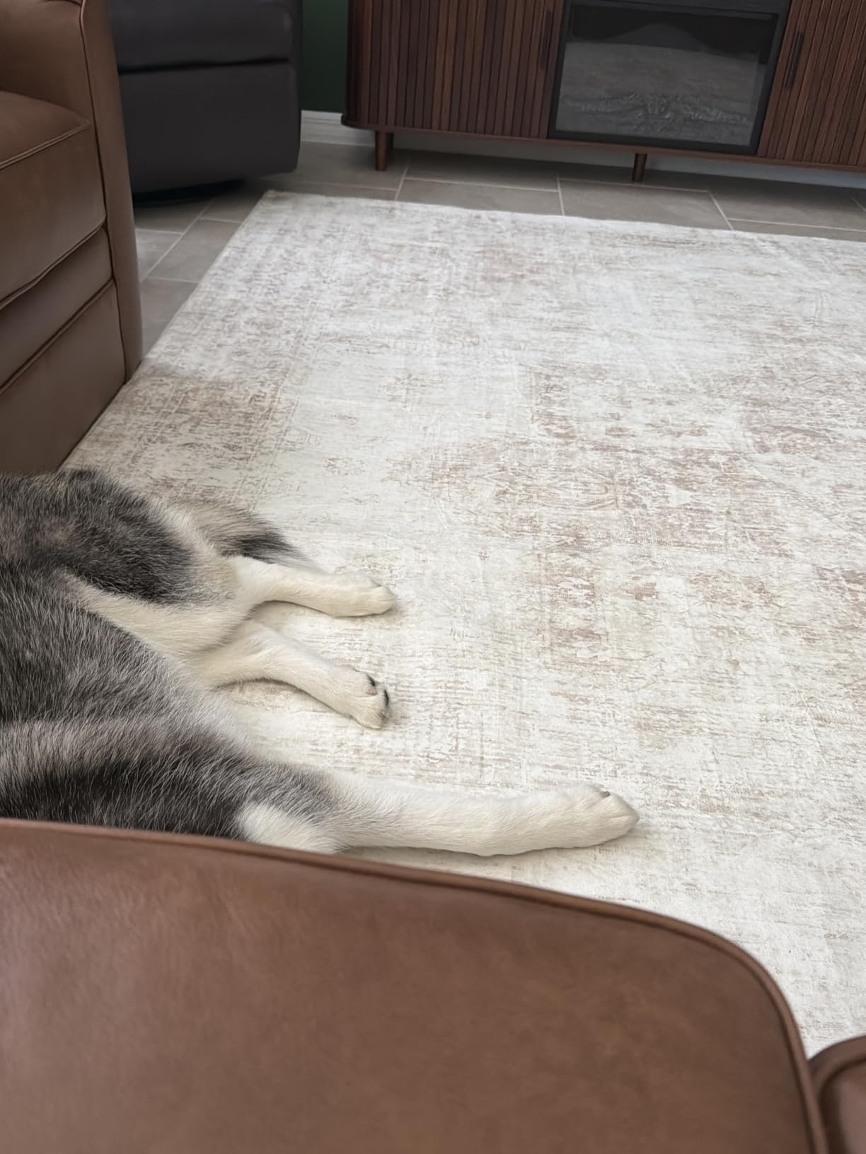 Area Rug 5x7 Washable Rug, Vintage Boho Medallion Rugs Non-Slip Soft Low Pile Large Distressed Rug Indoor Retro Carpet for Living Room Bedroom Dining Room Home Office (Beige, 5'x7') customer photo 2