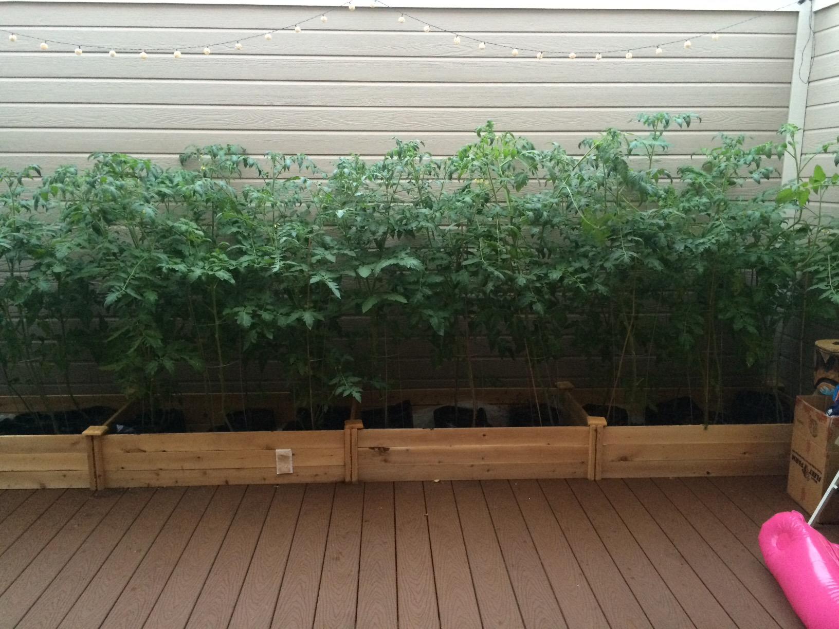 Greenes Fence Premium Cedar Raised Garden Bed, 2' x 8' x 10.5