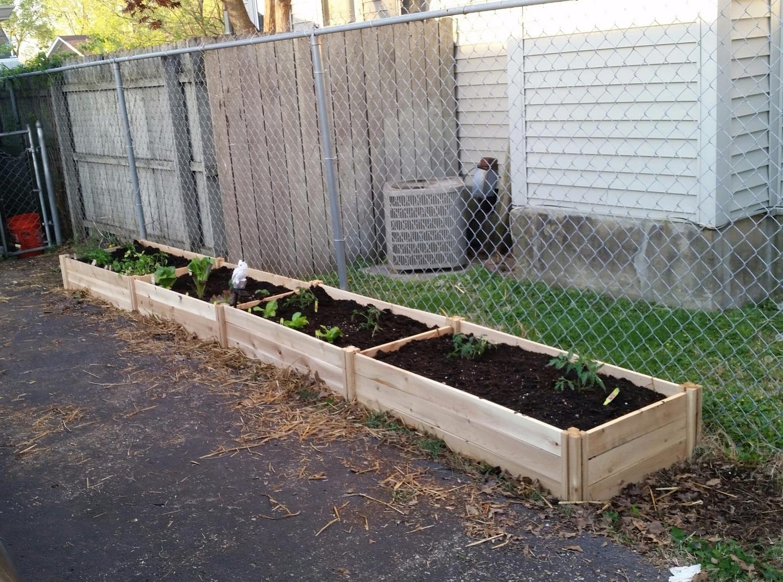Greenes Fence Premium Cedar Raised Garden Bed, 2' x 8' x 10.5