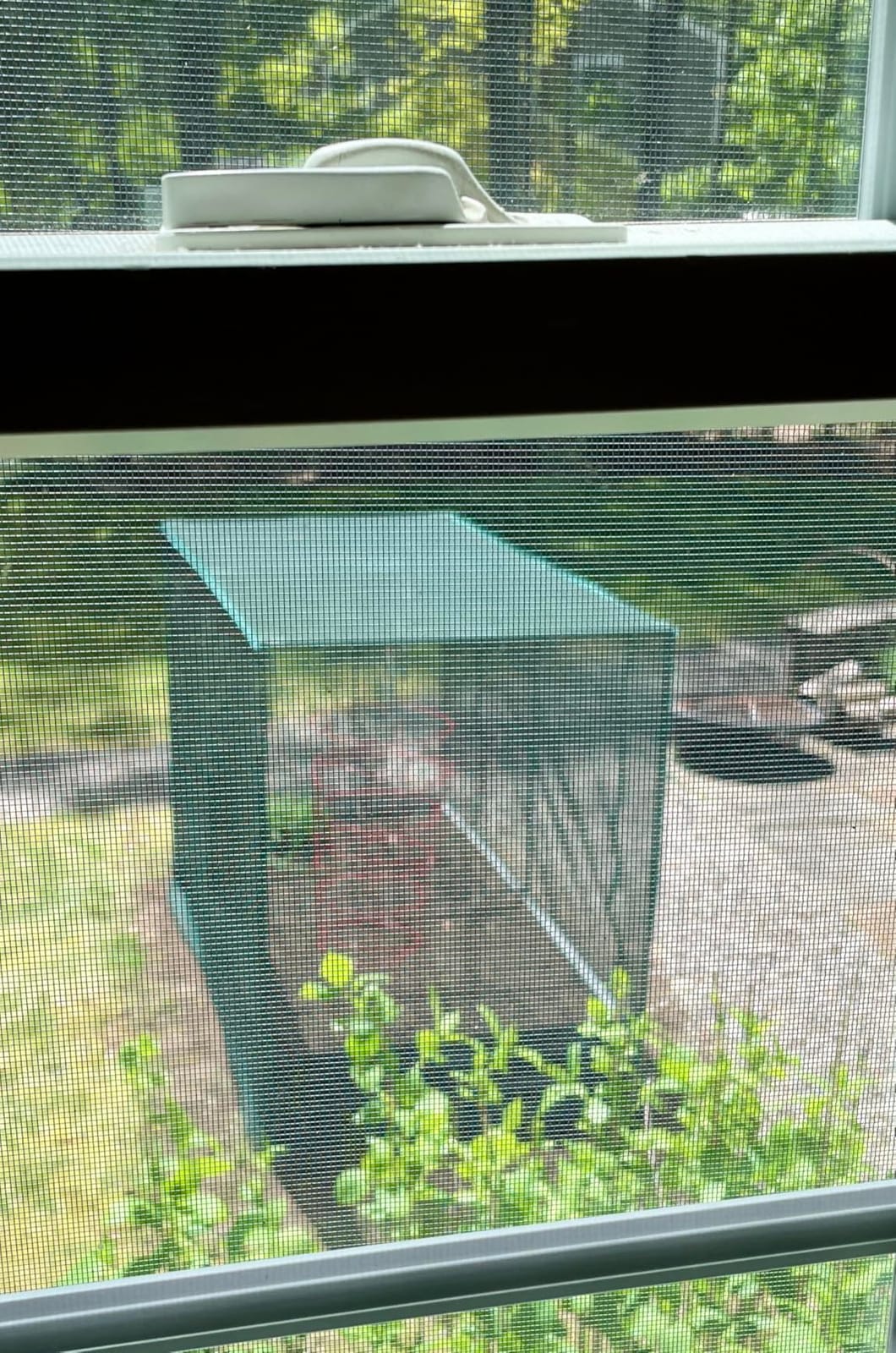 Galvanized Raised Garden Bed with Crop Cage Plant Protection Net | 71