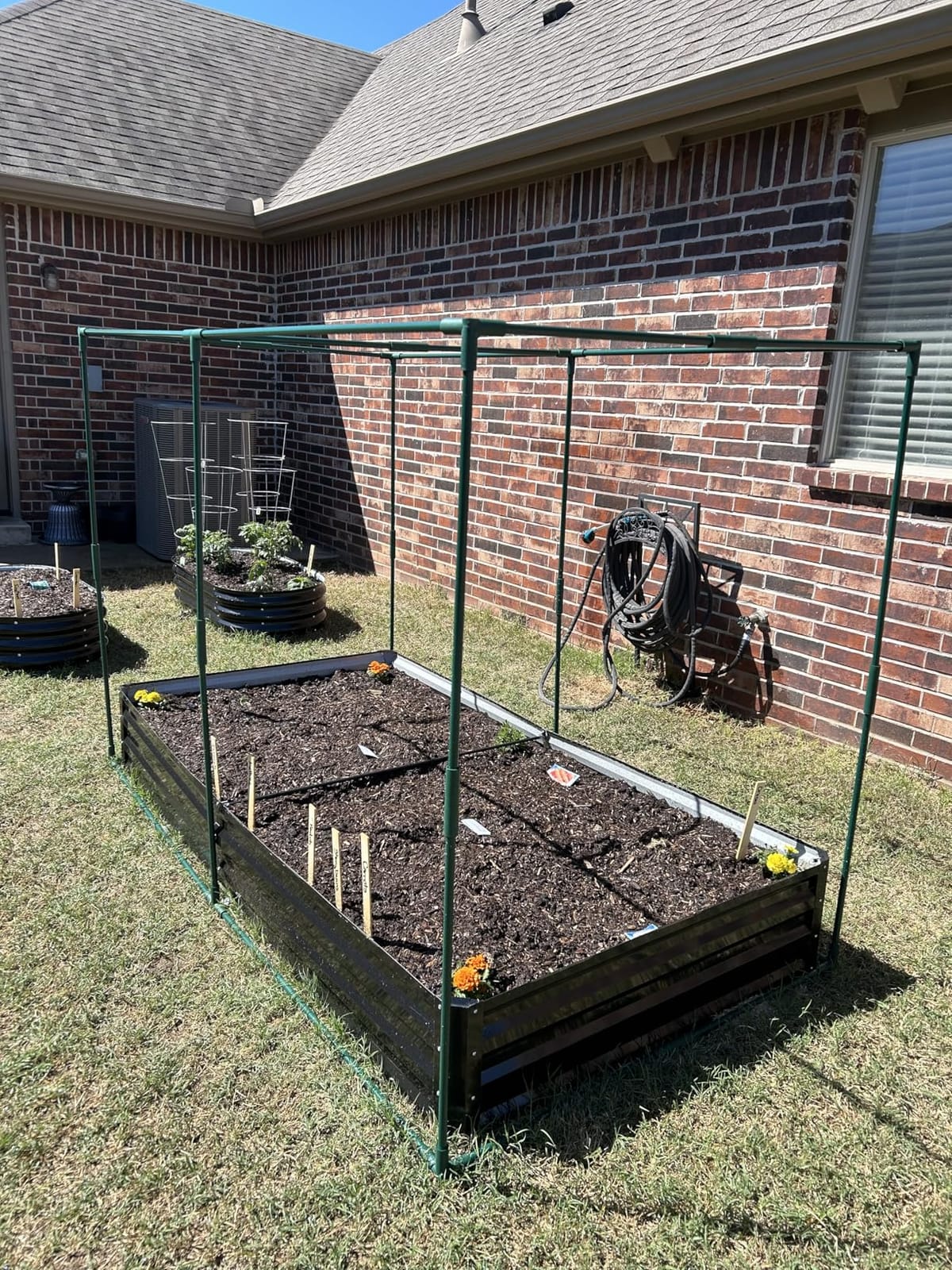 Galvanized Raised Garden Bed with Crop Cage Plant Protection Net | 71