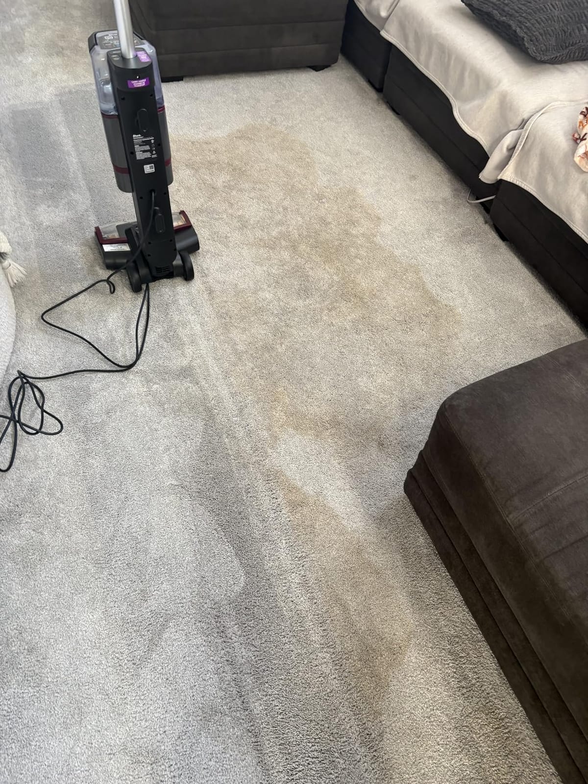 Shark CarpetXpert HairPro, Upright Carpet & Area Rug Cleaner, EX221BRN | For Carpets & Area Rugs, Perfect for Pets, Dirt, Grime, & Odor Remover, Pet Hair Pickup, Deep Clean Pet Formula customer photo 1