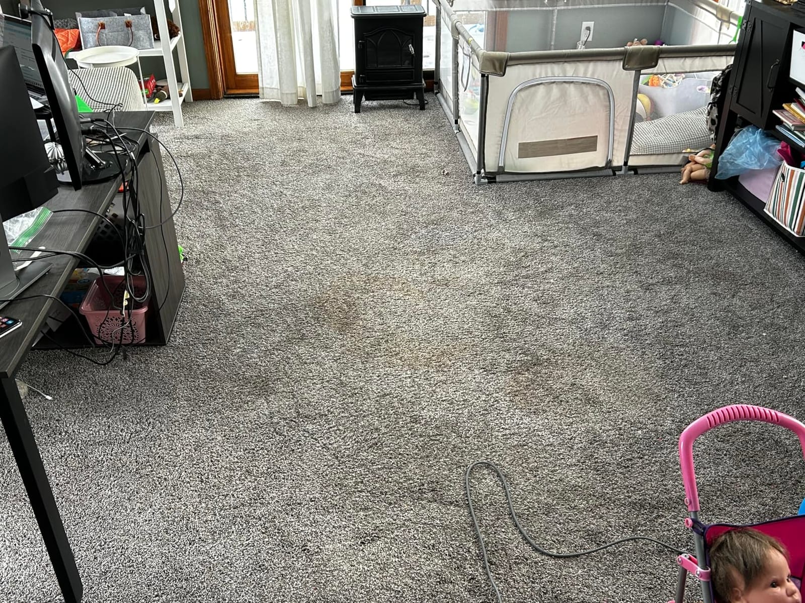 Shark CarpetXpert HairPro, Upright Carpet & Area Rug Cleaner, EX221BRN | For Carpets & Area Rugs, Perfect for Pets, Dirt, Grime, & Odor Remover, Pet Hair Pickup, Deep Clean Pet Formula customer photo 2