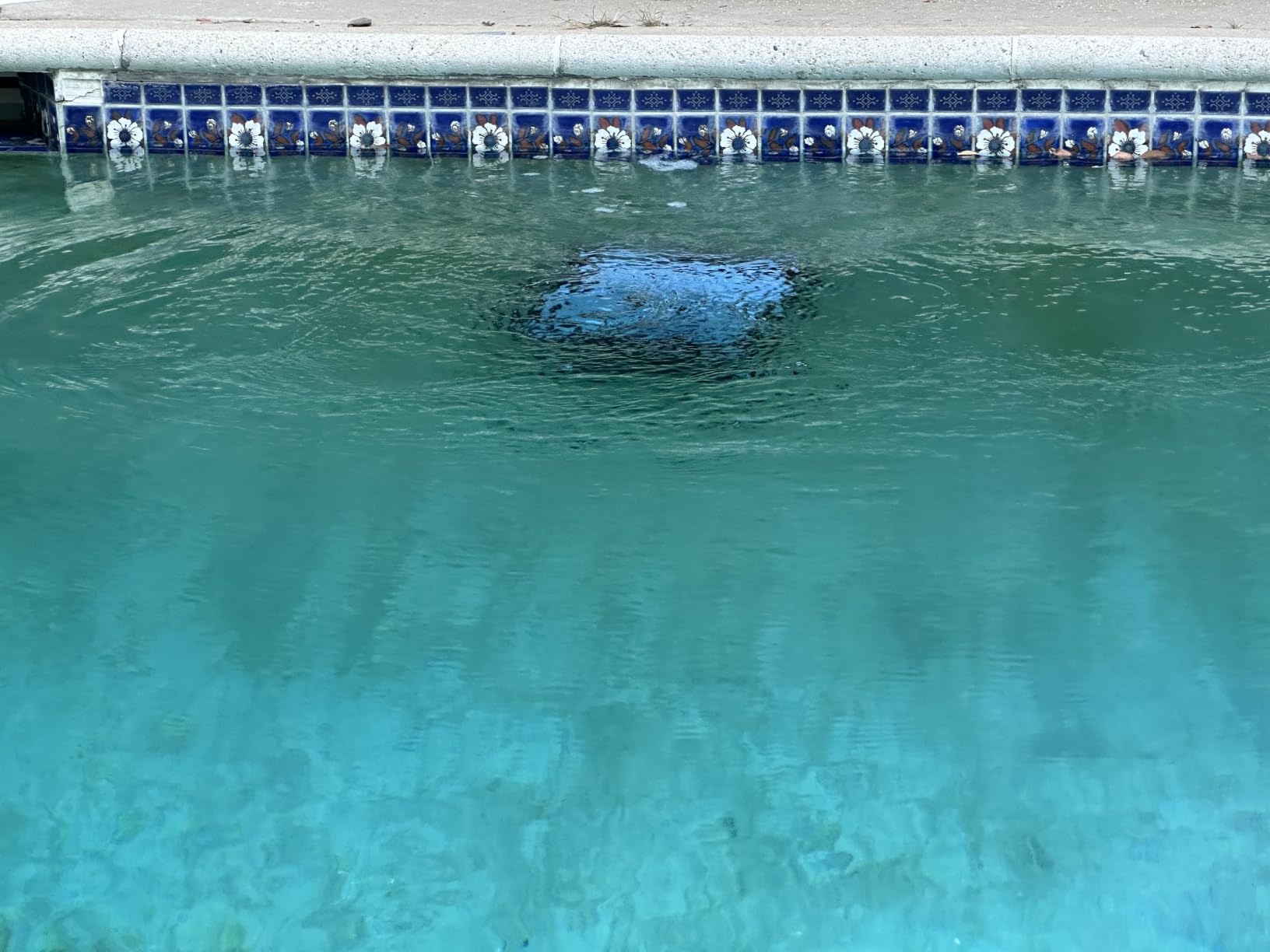 (2026 Upgrade) SAT 25 Cordless Robotic Pool Vacuum, AI Sonar Navigation, 180 Mins Runtime, Wall Climbing Auto Cleaner for Inground Pools - Not Fit for Pools with Sharp Steps or Raised Floor Drains customer photo 2
