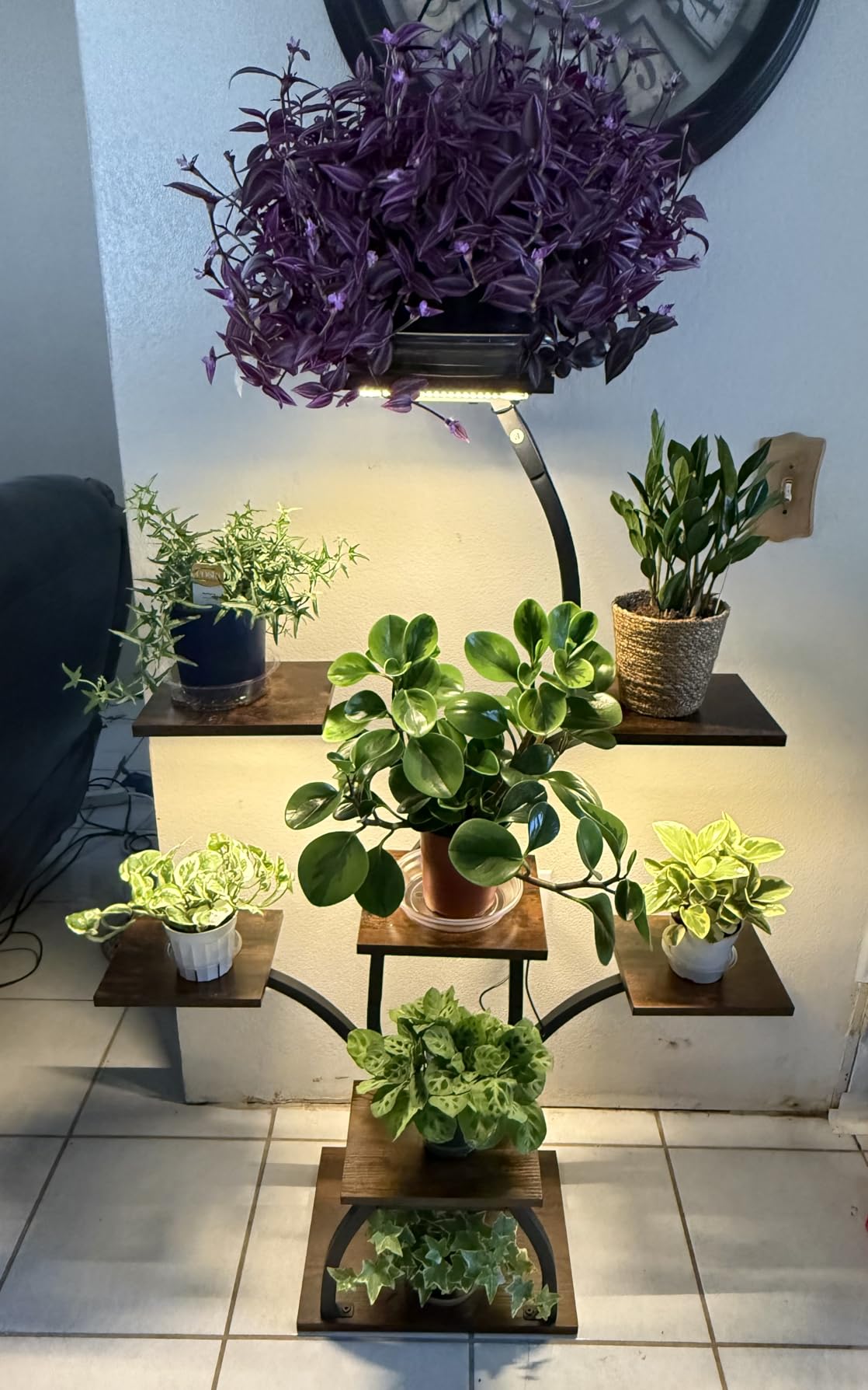 CODACE Plant Stand with Grow Lights - 50