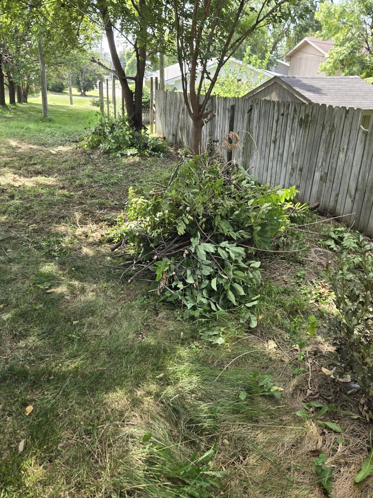 TaskStar 2-in-1 Pole Saw for Tree Trimming, 8-Inch Cordless Brushless Chainsaw with Adjustable Extension Pole, 2x4.0Ah Rechargeable Batteries & Charger, Auto Oiling, 15 Ft Max Reach customer photo 2