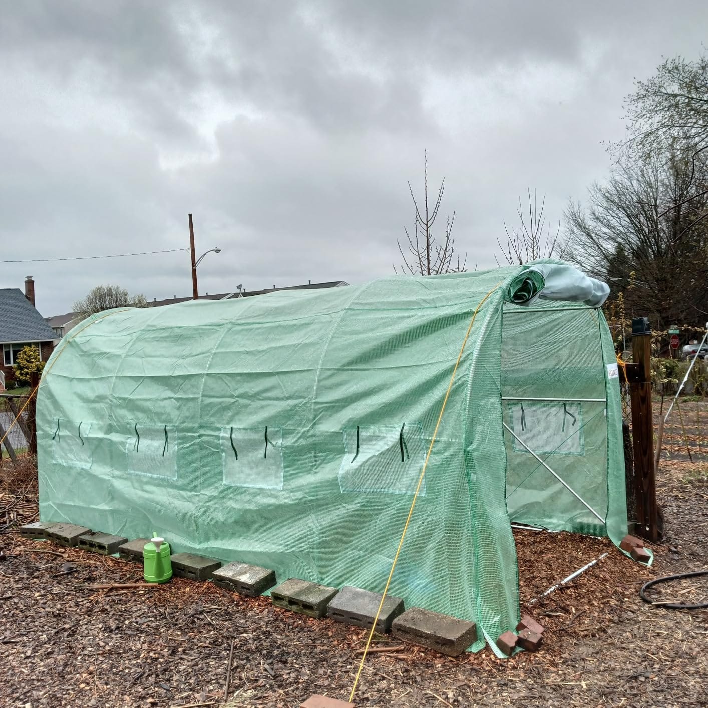 KING BIRD Premium 25x10x6.6FT Greenhouse for Outdoors, Large Walk-in House customer photo 1