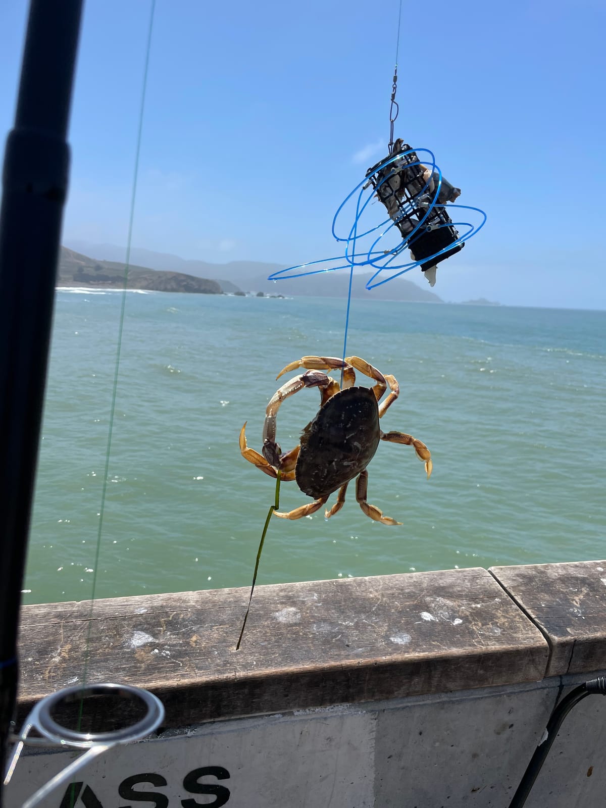 AirFly Castable Crab Trap for Pier, Jetty & Surf - 6-Loop Fishing Pole Crab Trap | Dungeness, Blue & Rock Crabs | Lead-Free | CA, OR, WA, MD & FL, Made in USA customer photo 1