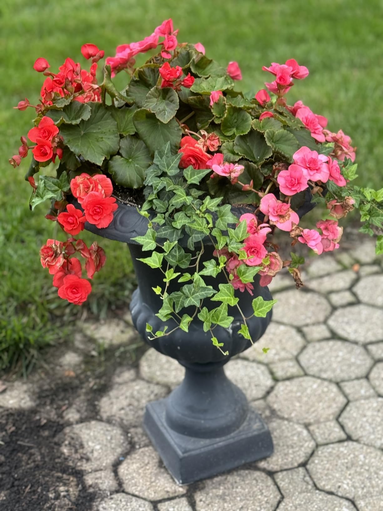 Earth Science RevitaSoil, 4lb, Up to 16 Sq. Ft. - Premium Organic Soil Revitalizer - Natural Nutrients & Earthworm Castings, Grow Up to 3X More, Indoor & Outdoor Plants, Vegetables, Flowers, Gardens customer photo 2