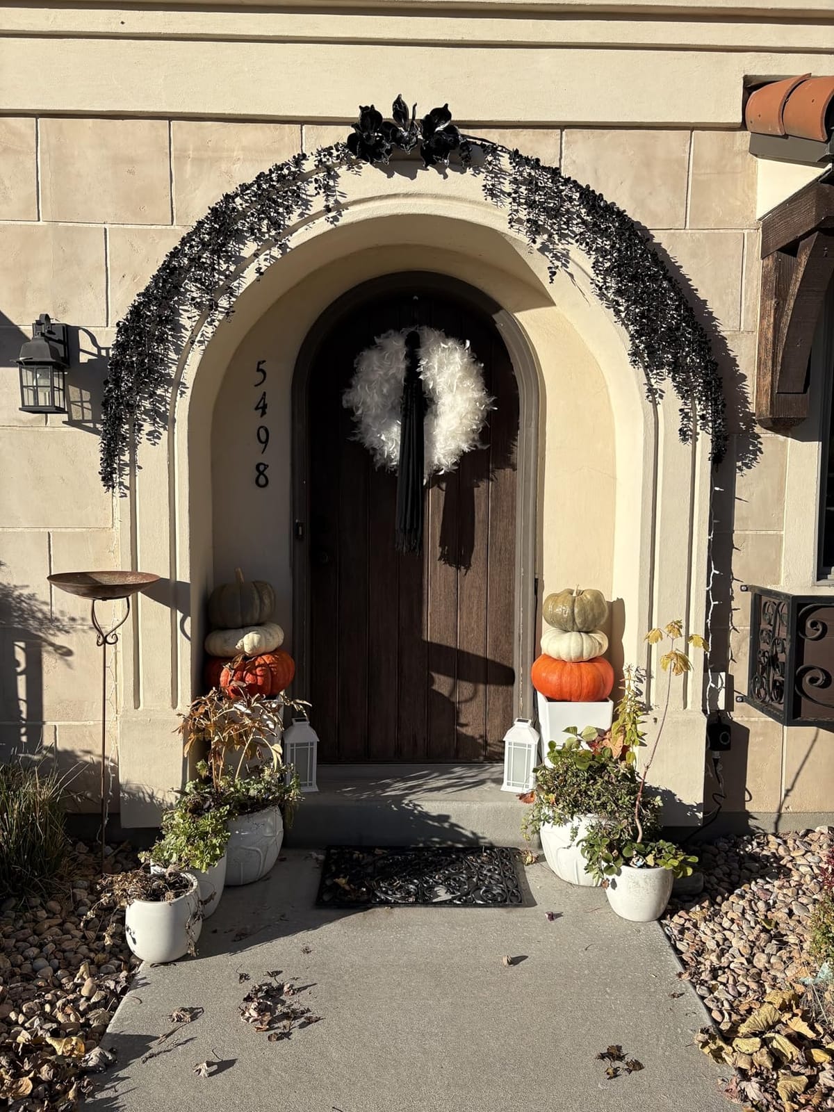 24
