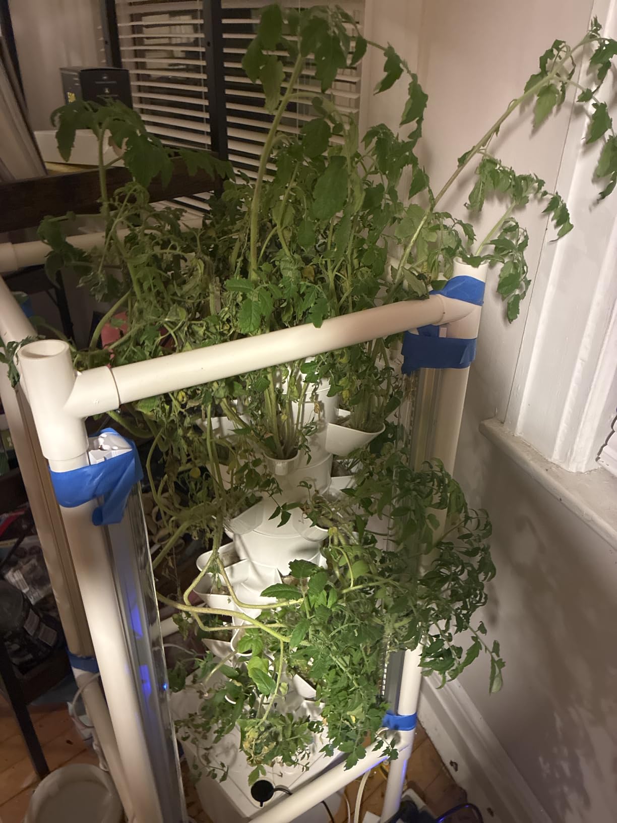 Hydroponic Tower Growing System Kits with LED Grow Lights 30 Pods Indoor Vertical Planter Germination Kit 6 Layers Hydroponic Tower for Fruits, Vegetables, Herbs, and Miniature Greens (White) customer photo 1