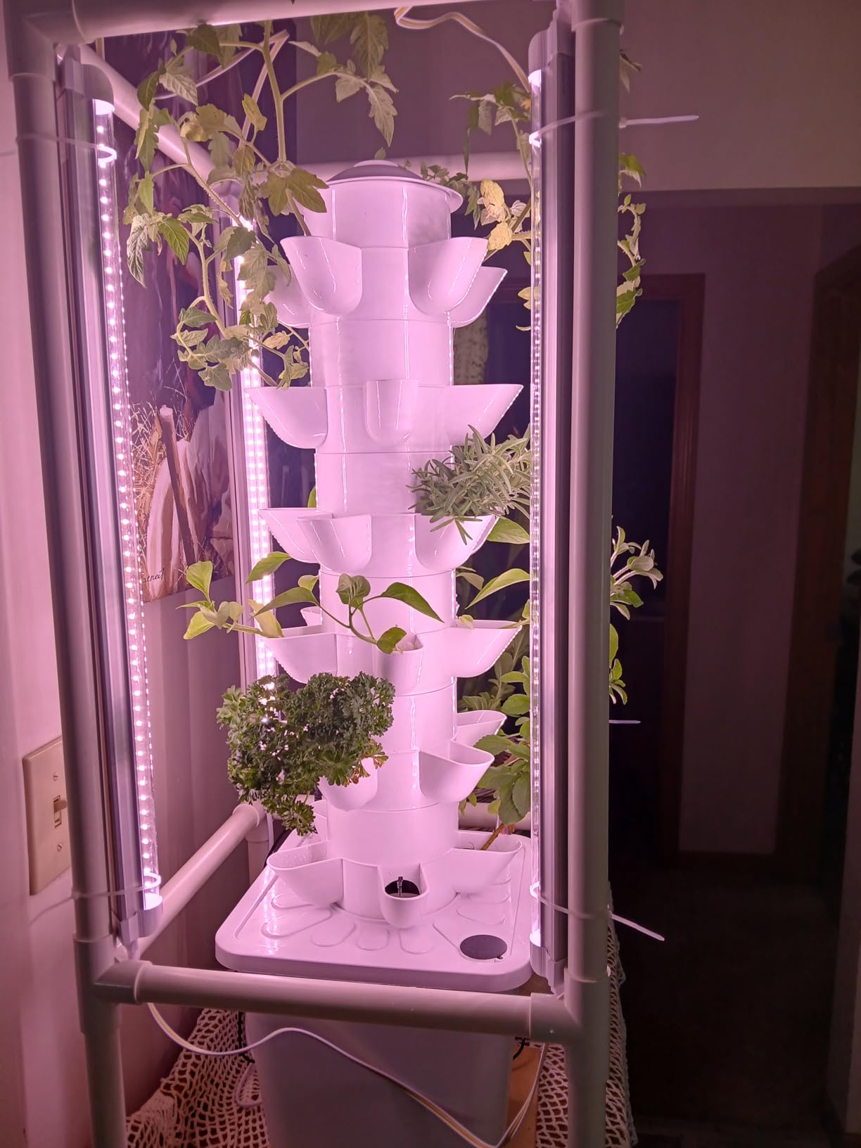 Hydroponic Tower Growing System Kits with LED Grow Lights 30 Pods Indoor Vertical Planter Germination Kit 6 Layers Hydroponic Tower for Fruits, Vegetables, Herbs, and Miniature Greens (White) customer photo 2