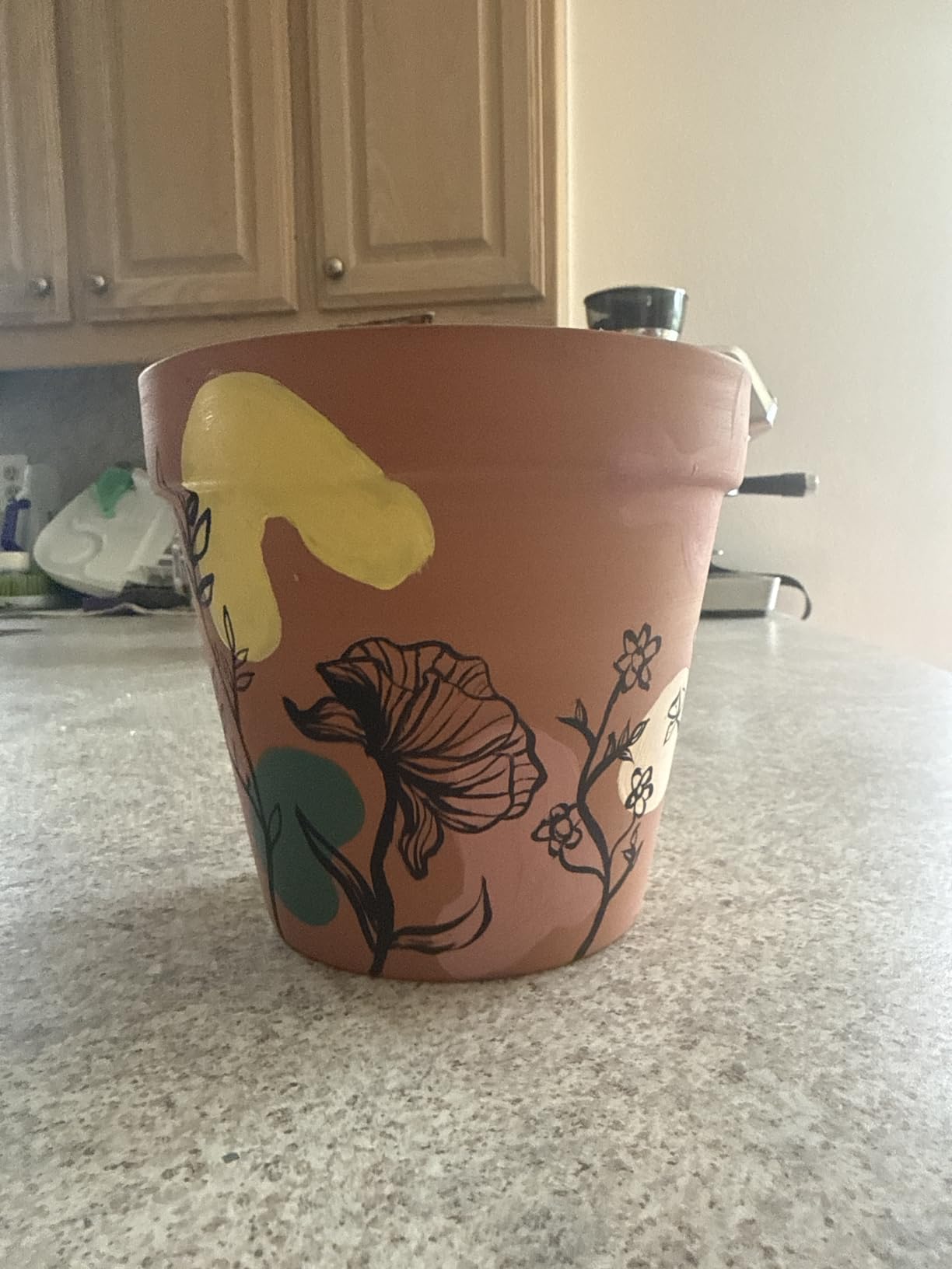 6 Pack 6 Inch Terracotta & Clay Pots with Saucer for Plants customer photo 1