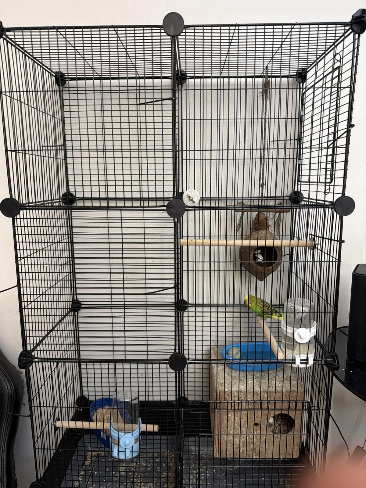 VISCOO Upgraded Encrypted Metal 46-Inch Bird Cage for Parrot Parakeets | Parakeet Cage with Wooden Perches, Slide-Out Tray, Water Bottle & Feeder for Cockatiel, Lovebird, Small Mid-Sized Birds customer photo 1