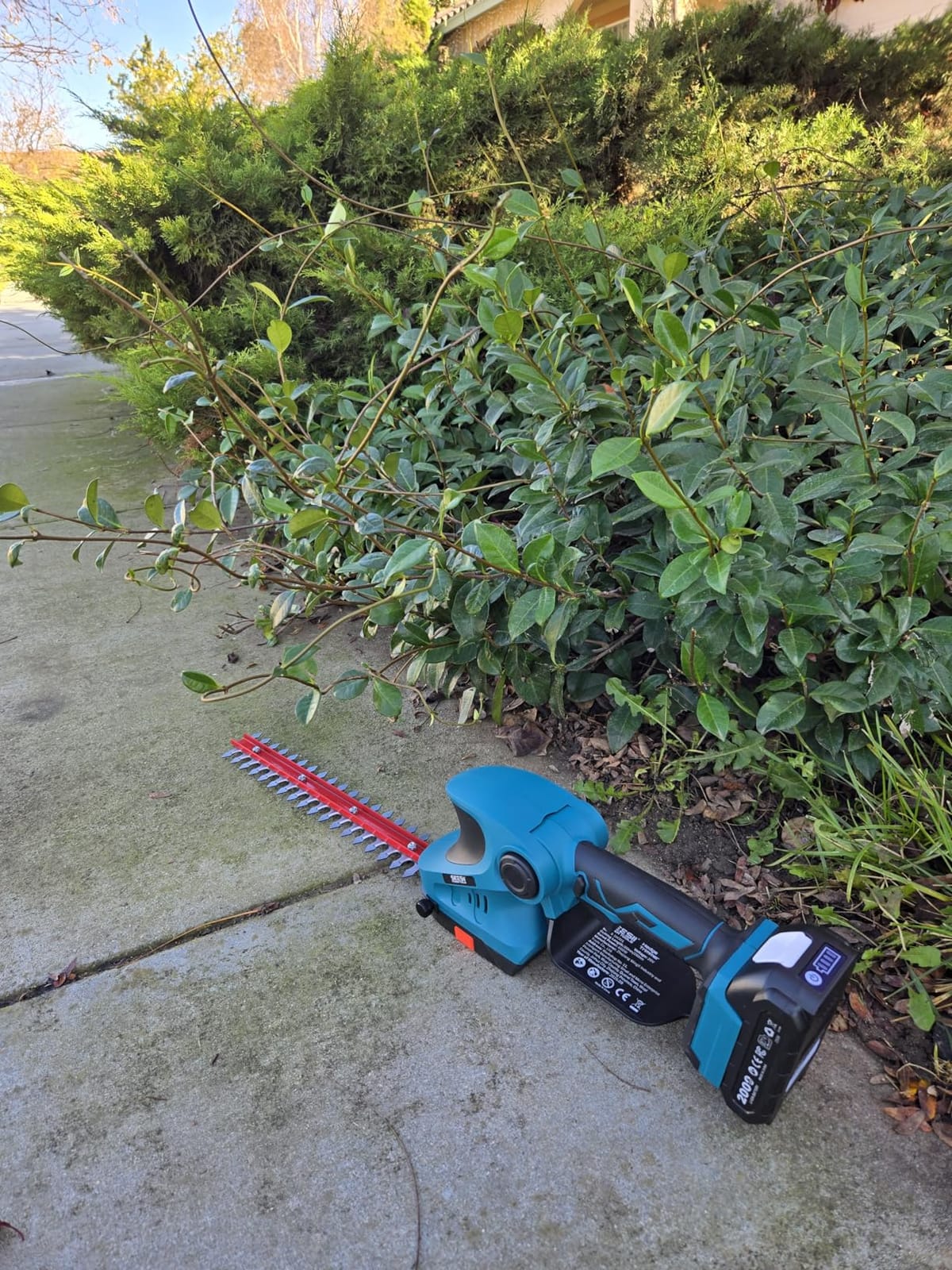 SEESII 2-in-1 Pole & Hedge Trimmer Cordless, 20