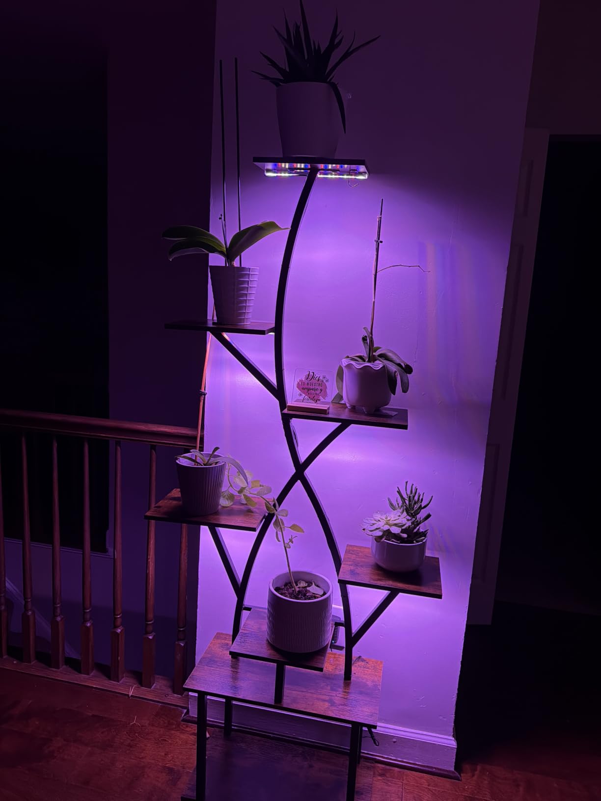 Plant Stand Indoor with Grow Lights 65