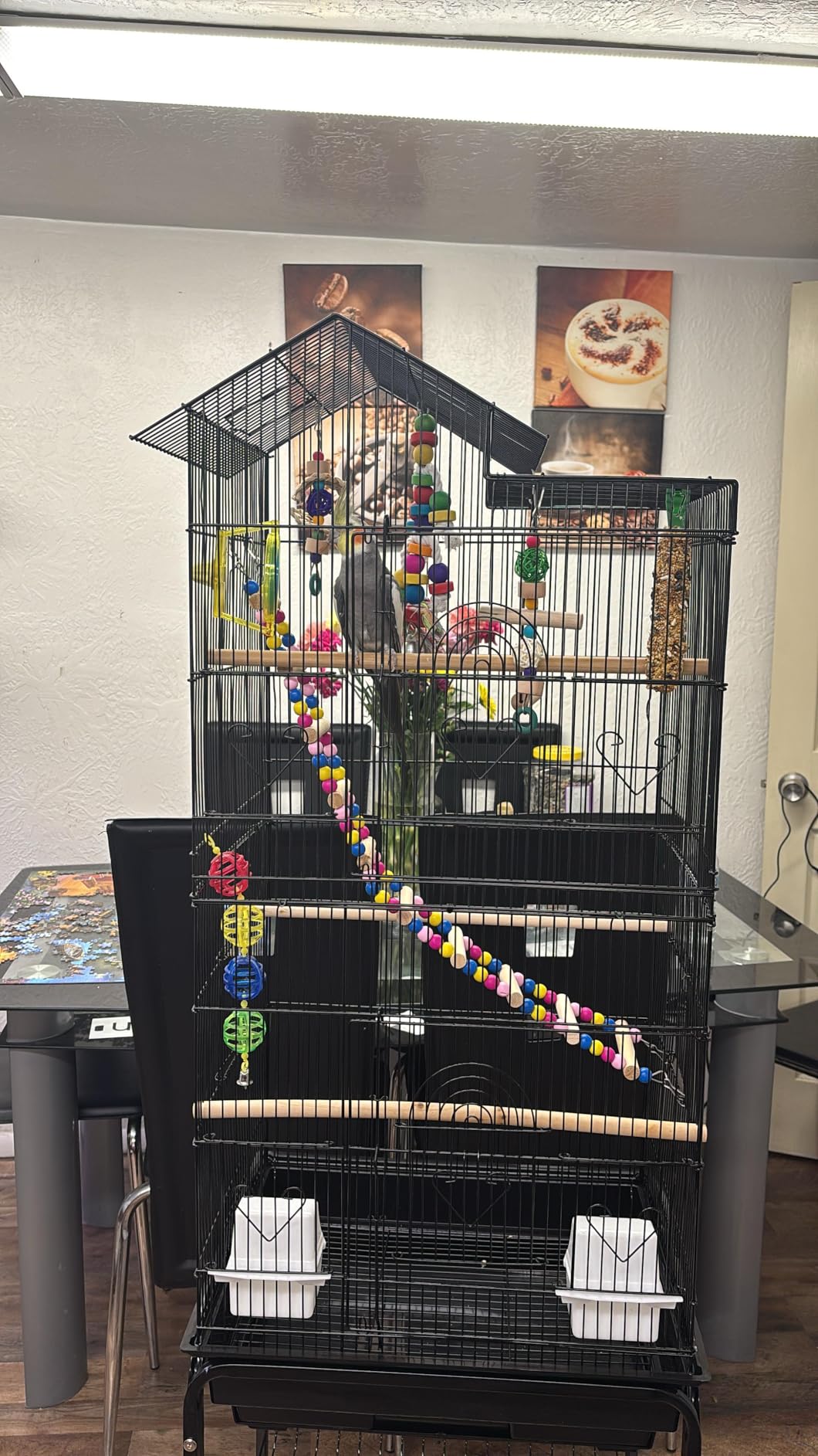 YITAHOME 62 Inch Large Bird Cage | Bird Cage with Rolling Stand, Feeding Doors & Hanging Accessories for Parrots Cockatiels Parakeets customer photo 2