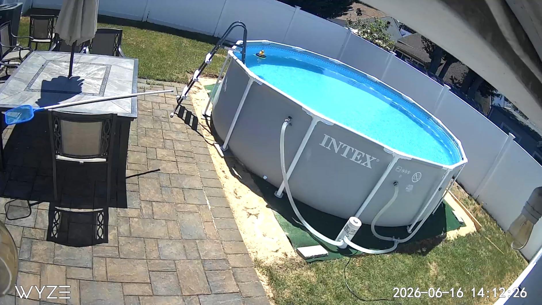 INTEX Prism Frame 20ft x 52in Round Above Ground Swimming Pool Set w/Pump | 26755EP - 1500 GPH Cartridge Filter Pump, Ladder, Pool Cover & Ground Cloth Included - Reinforced Steel Frame customer photo 1