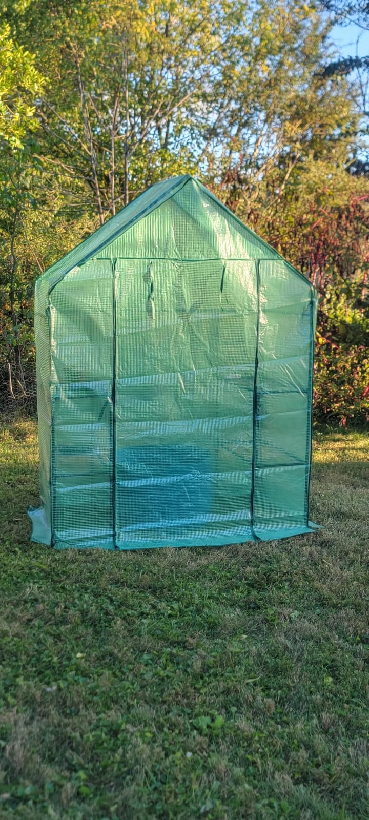 Small Greenhouse for Outdoors, Walk-in Plant Greenhouse with 4 Shelves | Portable Greenhouse Kit, Reinforced PE Cover, Steel Frame, Tool-Free Setup, Free Thermometer & Hygrometer for Seed Starting customer photo 1