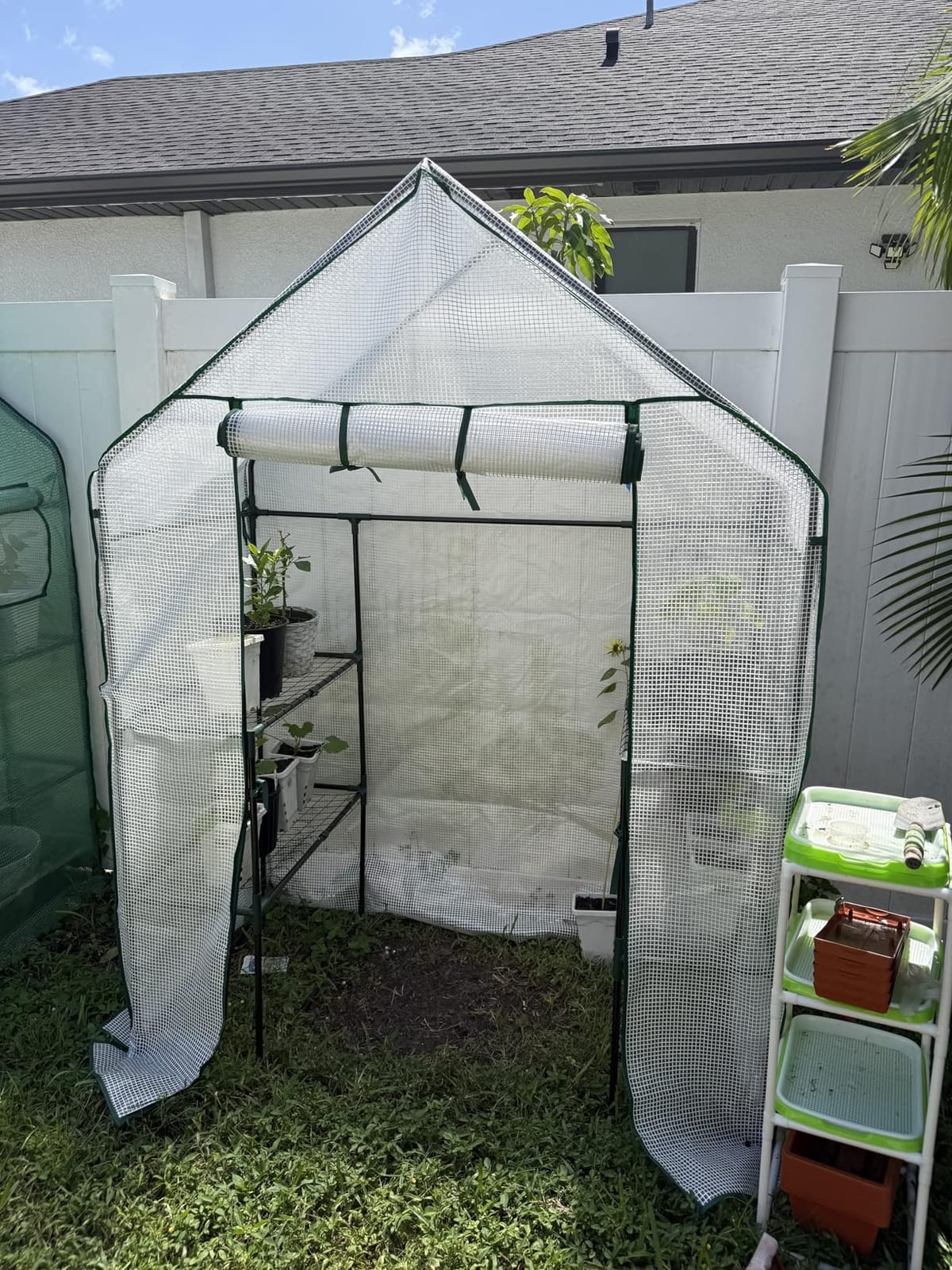 Small Greenhouse for Outdoors, Walk-in Plant Greenhouse with 4 Shelves | Portable Greenhouse Kit, Reinforced PE Cover, Steel Frame, Tool-Free Setup, Free Thermometer & Hygrometer for Seed Starting customer photo 2