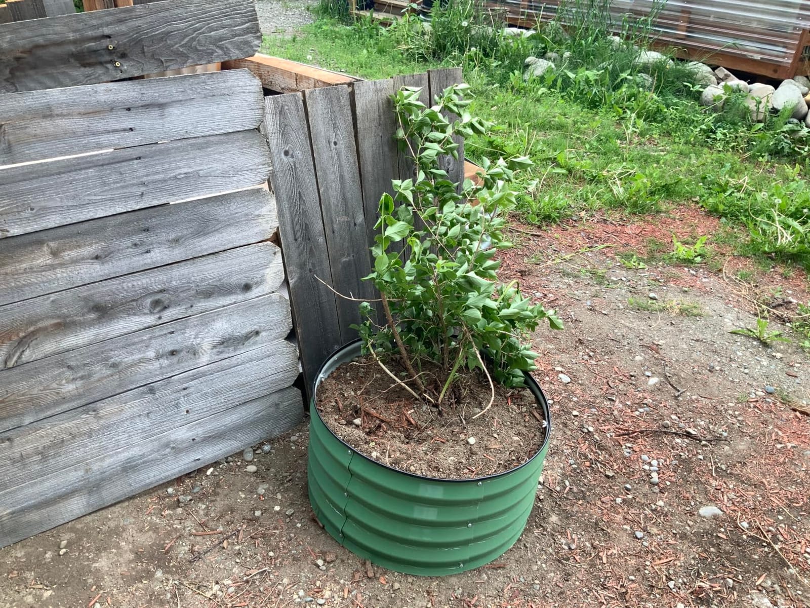 INNO STAGE 3 Pcs Round Galvanized Raised Garden Beds, 2x2x1ft Olive Green | Metal Planter Bed Outdoor, Raised Beds Kit for Gardening Vegetables, Fruits and Flowers, Rust-resistant, Smooth Edges customer photo 1