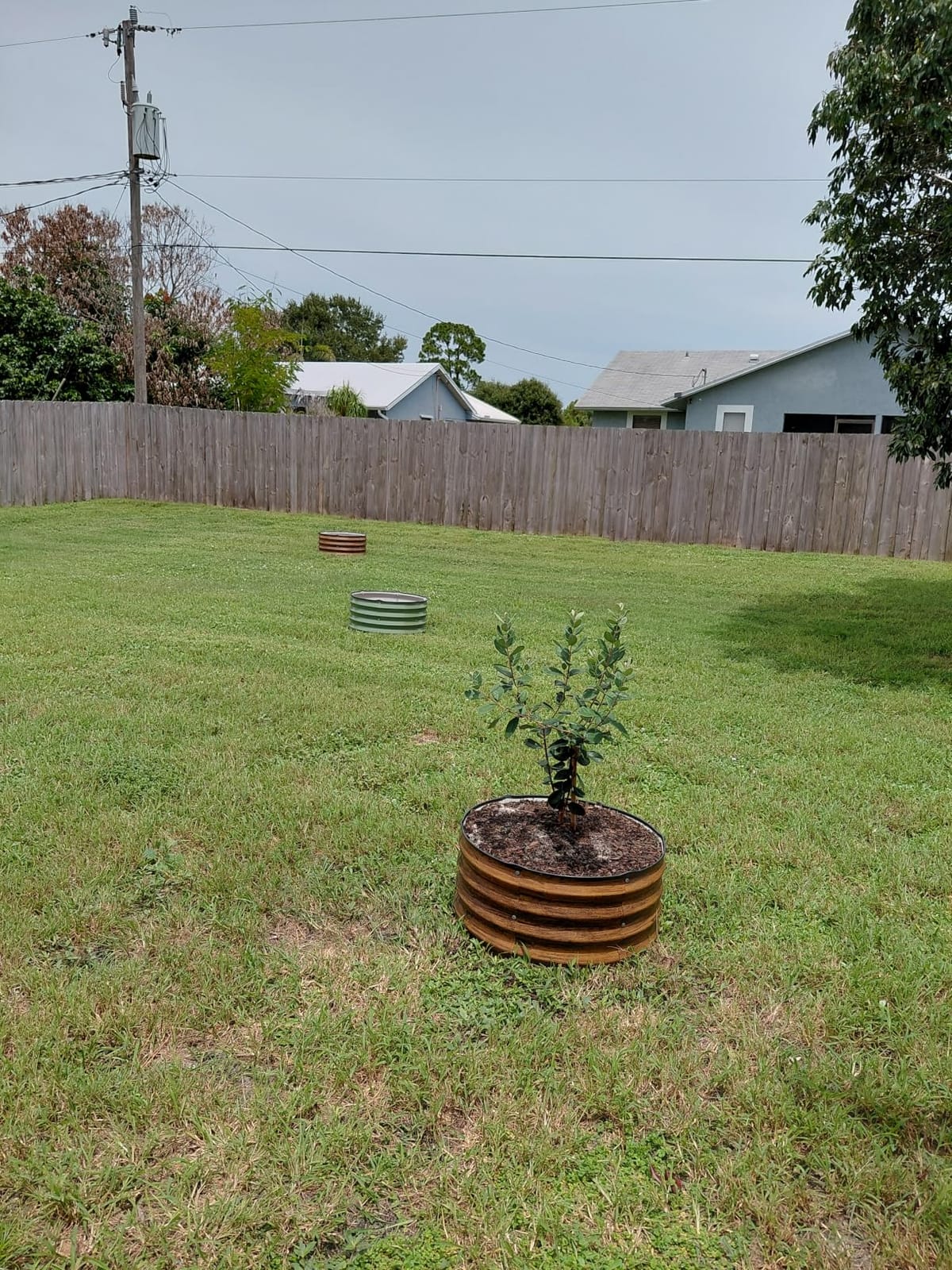 INNO STAGE 3 Pcs Round Galvanized Raised Garden Beds, 2x2x1ft Olive Green | Metal Planter Bed Outdoor, Raised Beds Kit for Gardening Vegetables, Fruits and Flowers, Rust-resistant, Smooth Edges customer photo 2
