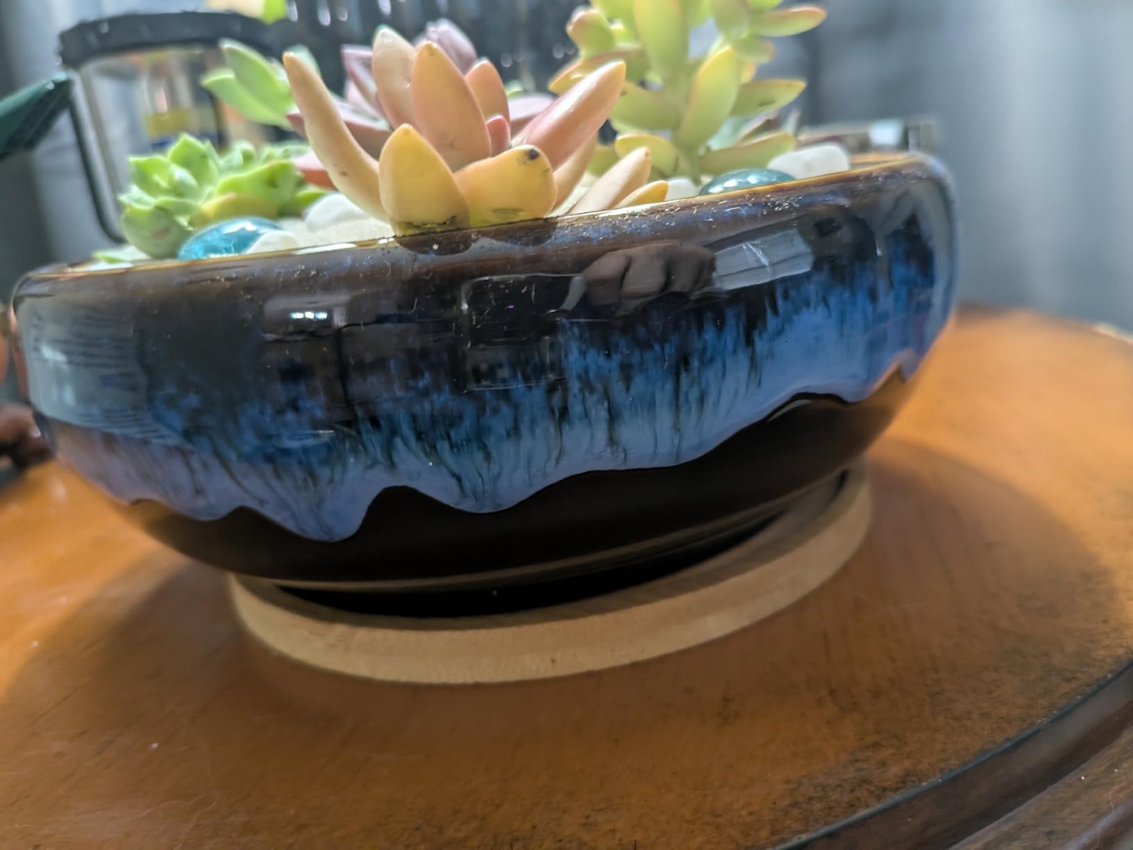 SQOWL Bonsai Pots Small - 6 Inch Ceramic Succulent Pots with Drainage Hole and Saucer, Shallow Round Planter for Indoor Plants Outdoor, Ceramic Cactus Planter, Patio Decor, Housewarming Gift, Brown customer photo 1