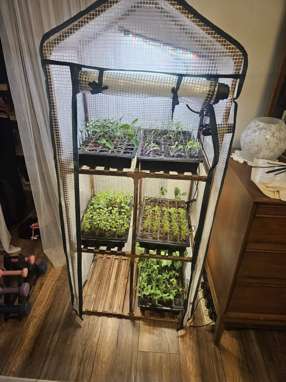 Bamworld Mini Greenhouse with Grow Light Plant Stand for Multiple Pots Outdoor 3-Tier Portable Greenhouses with Durable PE Cover for Seedling Ideal Gardening Gifts for Women Men customer photo 1