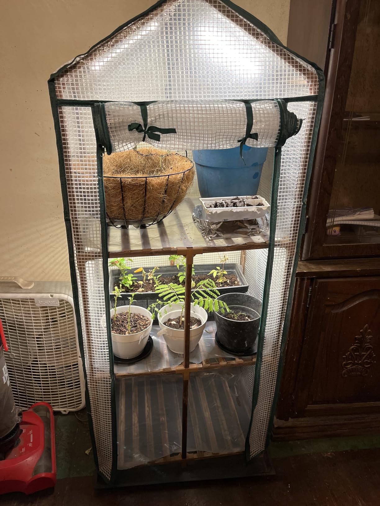 Bamworld Mini Greenhouse with Grow Light Plant Stand for Multiple Pots Outdoor 3-Tier Portable Greenhouses with Durable PE Cover for Seedling Ideal Gardening Gifts for Women Men customer photo 2