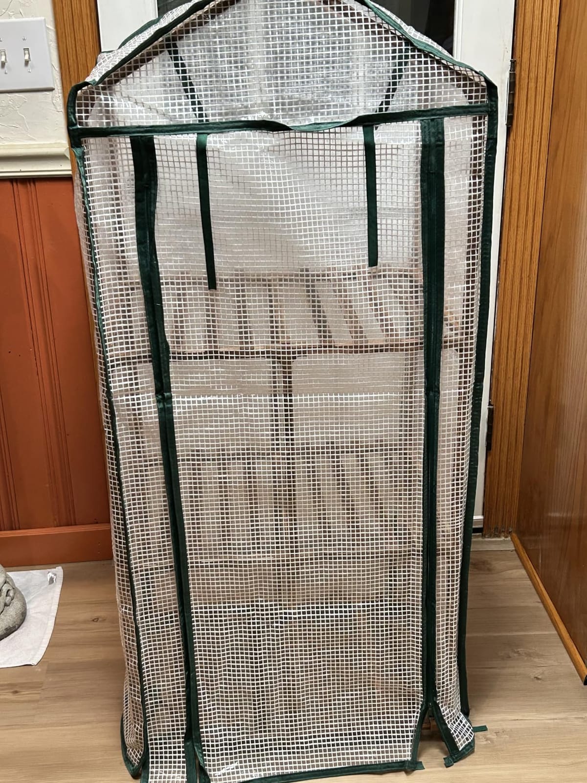 Bamworld Greenhouse for Outdoors Small Plant Green House 3-Tier Portable Plant Stand with Durable PE Cover for Seedling Ideal Gardening Gifts for Women Plants Lover customer photo 1