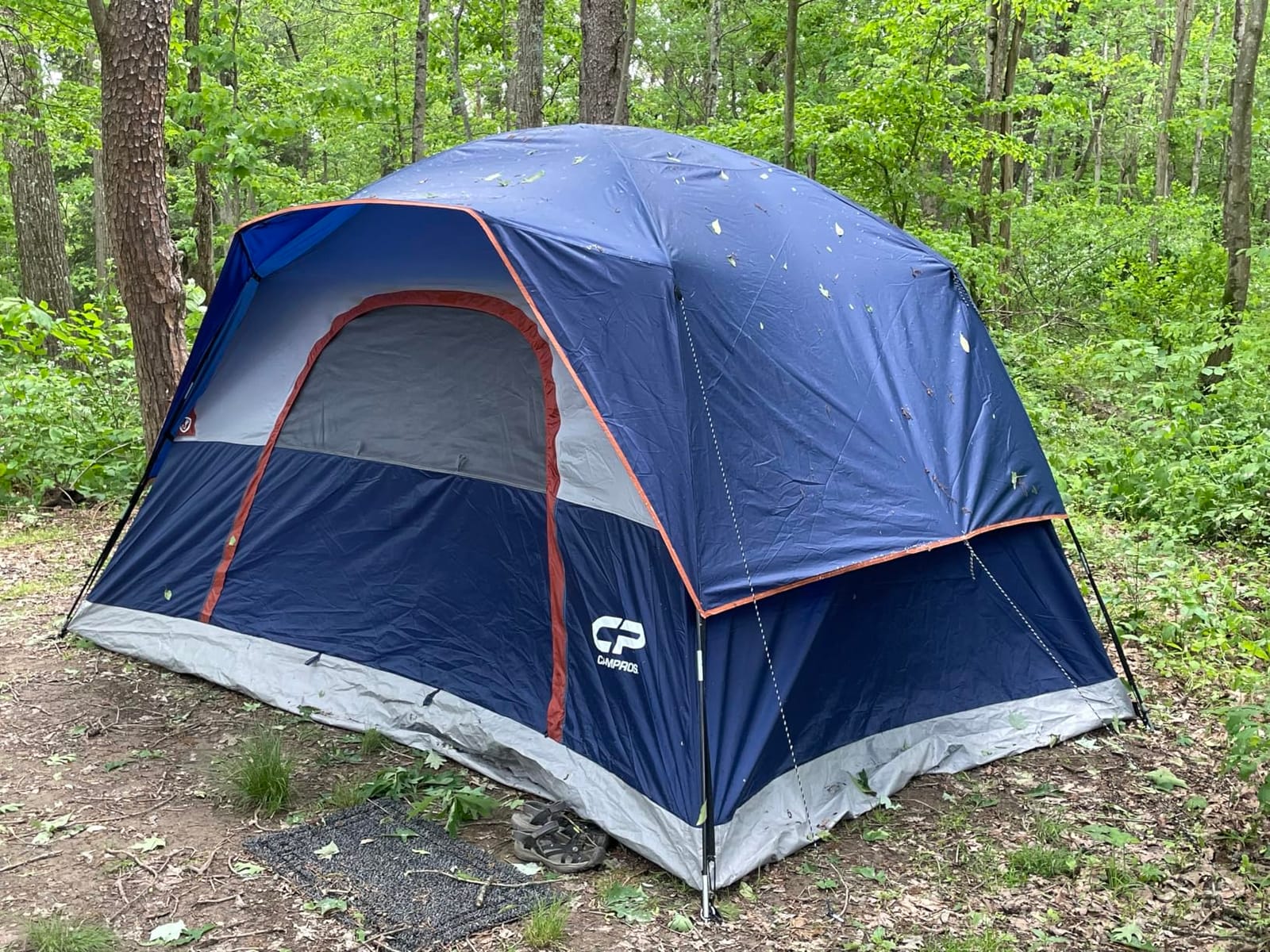 CAMPROS CP Tents for Camping 2/4/6 Person, Waterproof Windproof Dome Tent customer photo 1
