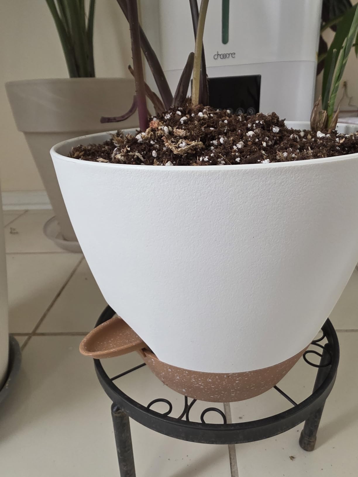 8/9/10 Inch Self Watering Pots, Plastic Flower Pots with Multi Mesh Drainage Holes and Water Level Indicator & Deep Reservoir for Indoor Outdoor Garden Plants and Flowers (White) customer photo 2