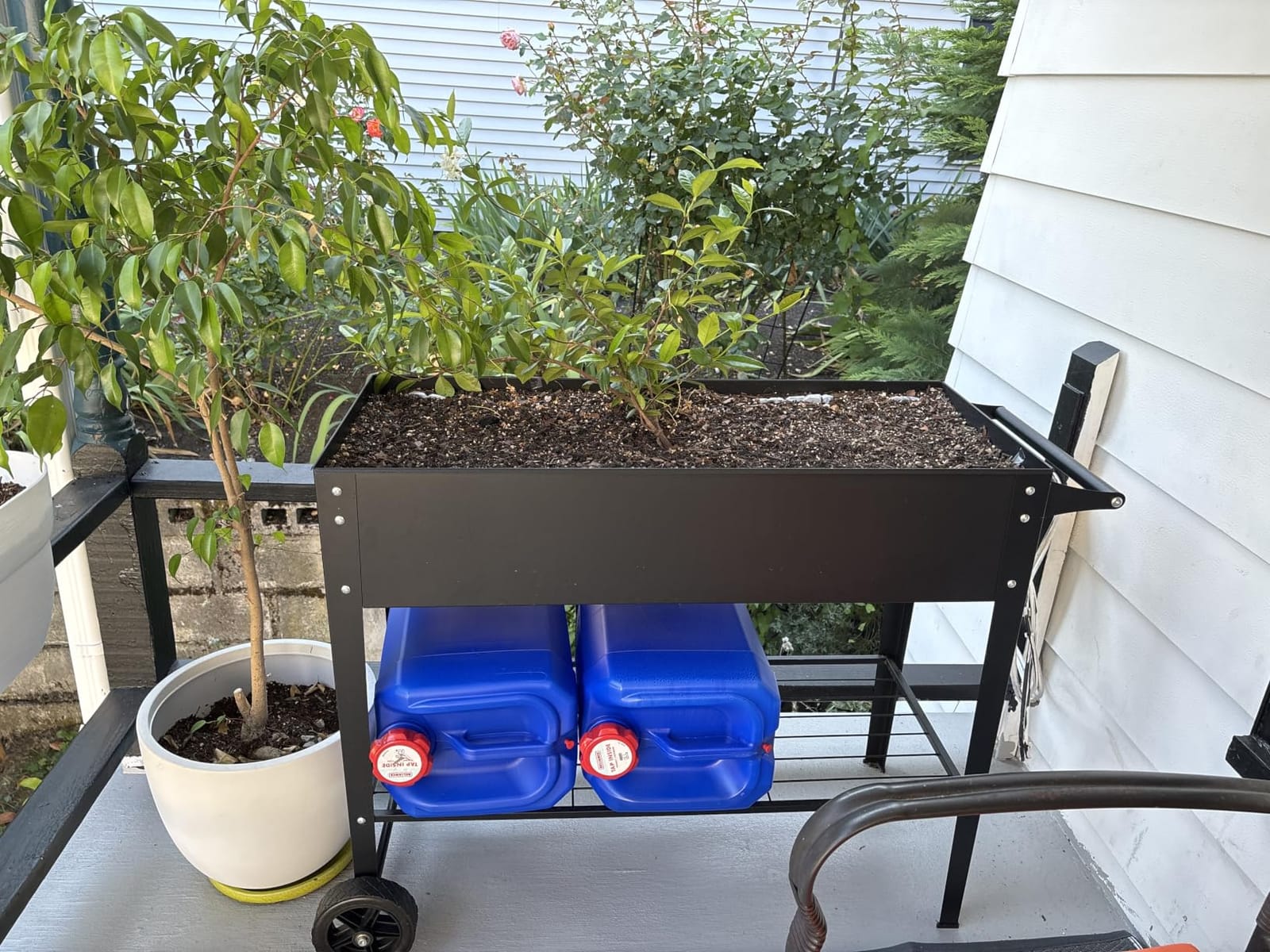 2Pcs Galvanized Raised Garden Bed with Legs, 43x24x32in Large Metal Elevated Raised Planter Box with Drainage Holes for Backyard, Patio, Balcony, 400lb Capacity, Black customer photo 1