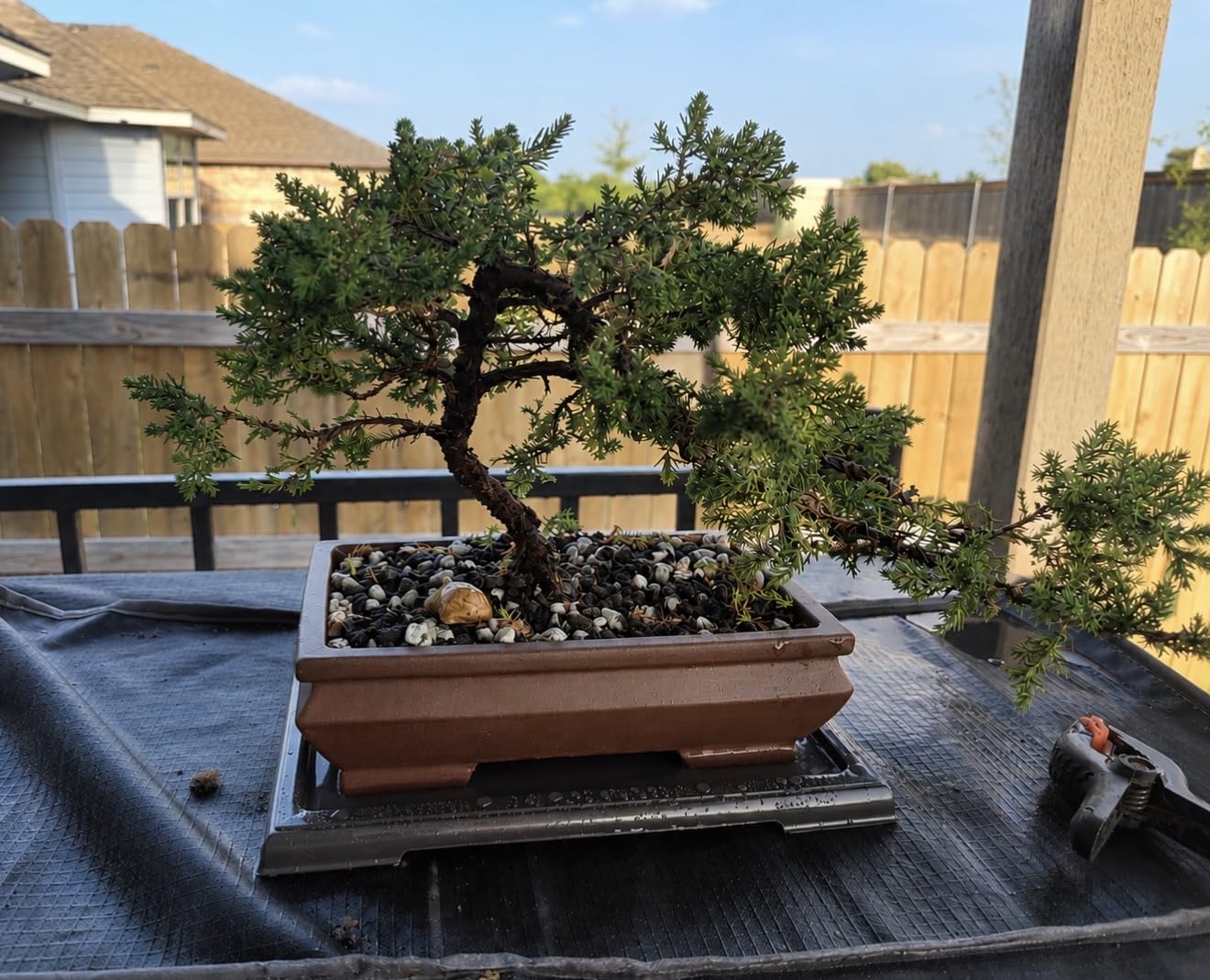 MUZHI Unglazed Ceramic Bonsai Pot with Drainage Tray, Rectangle Vintage Brown Bonsai Planter with 4 Raised Feet for Juniper Maple, Succulent Planter Pot with Drip Tray (Elegant Rectangle) customer photo 2
