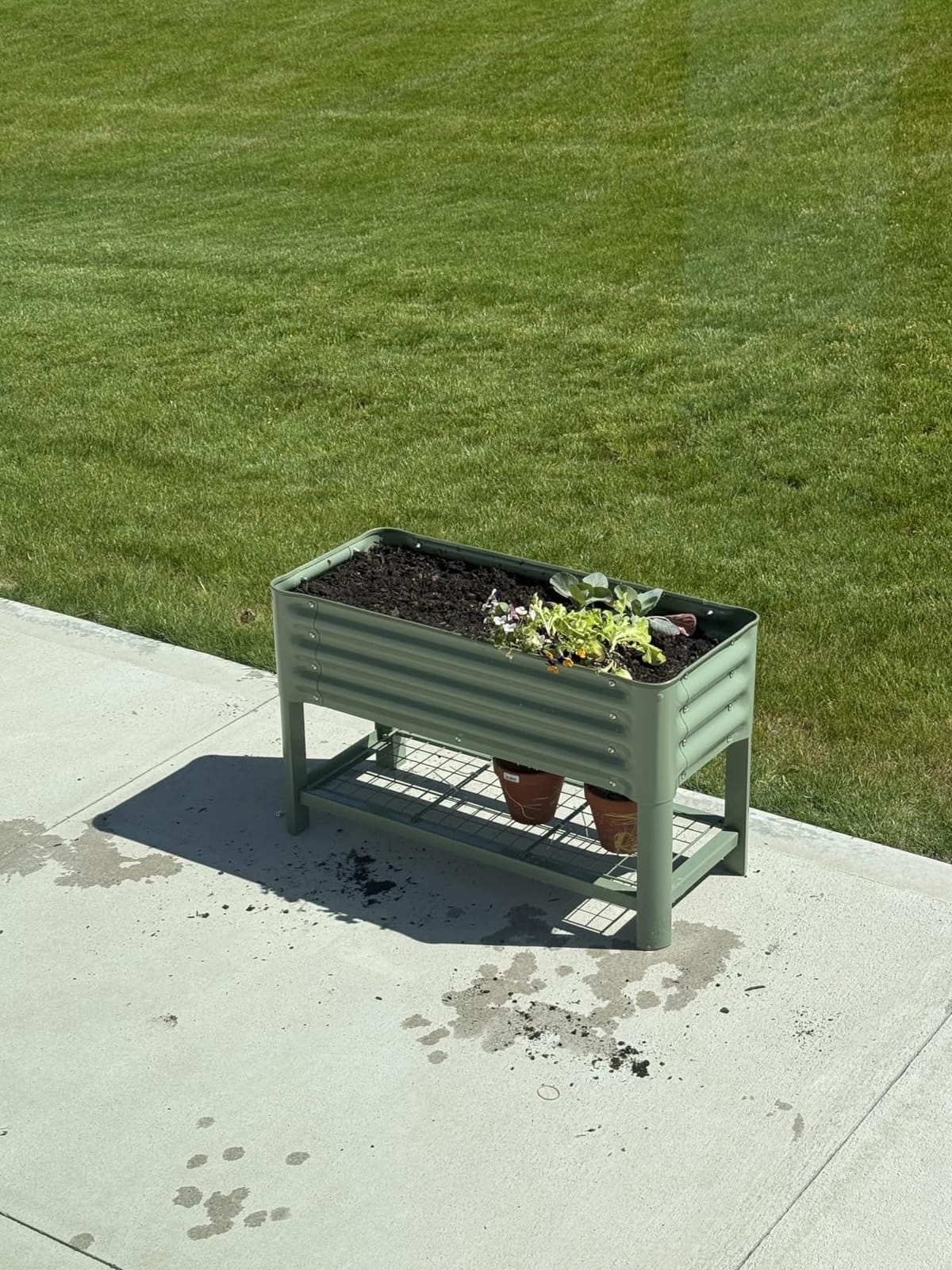 Elevated Raised Garden Bed for Kids Toddler, 16