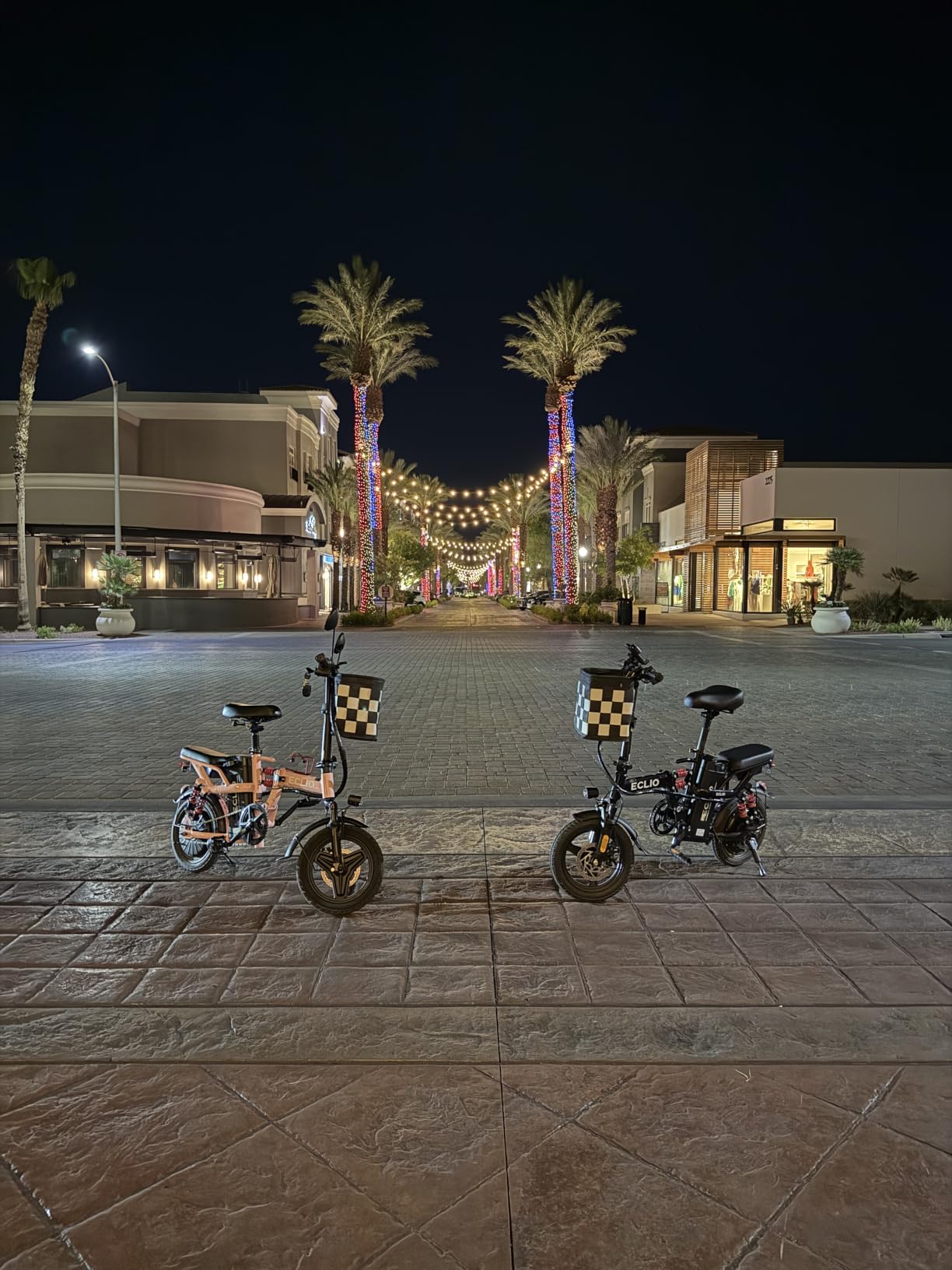 DDC SPORT Folding Electric Bike for Adults, Peak 800W Motor 25MPH, 48V 14Ah Removable Battery 35-55Miles Ebike,14'' Lightweight & Portable Adults Electric Bicycles for Men/Women/Teens customer photo 2