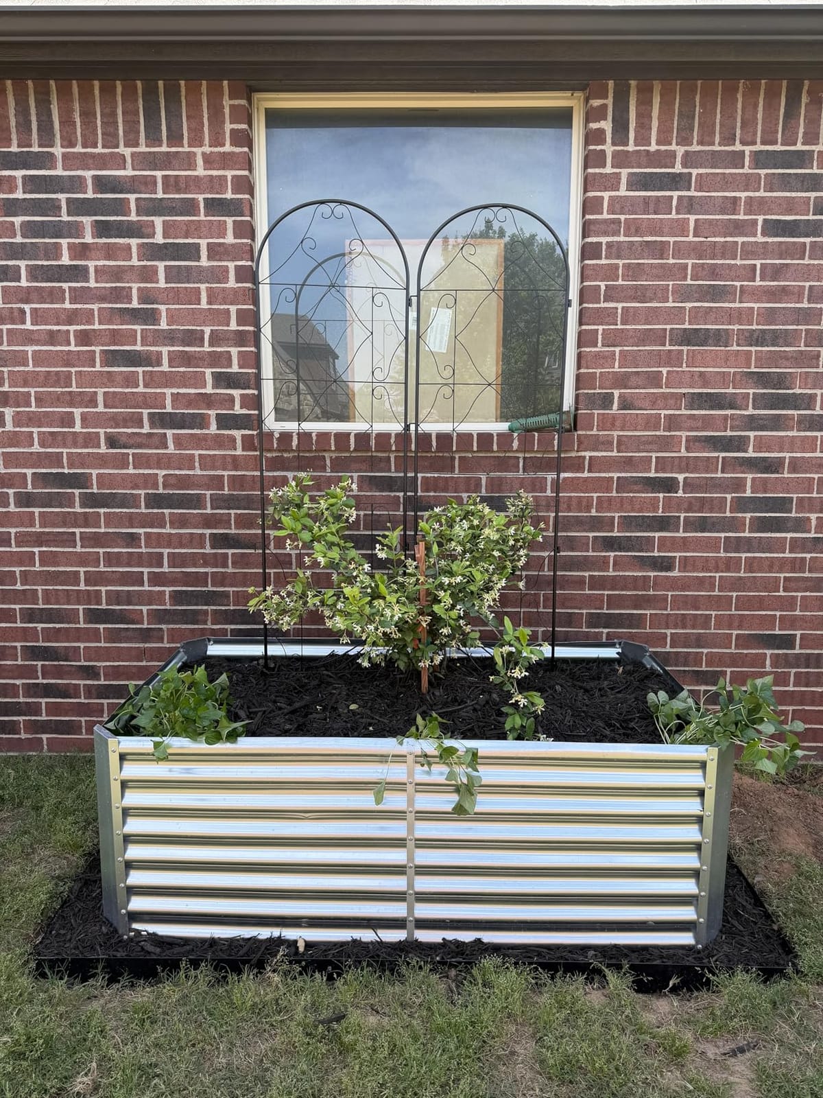 Land Guard 2 Pack 6×3×2 ft Galvanized Metal Raised Garden Bed, 2FT Deep Root Elevated Planter Box Steel Large Vegetable Flower Bed Kit, Silver customer photo 2