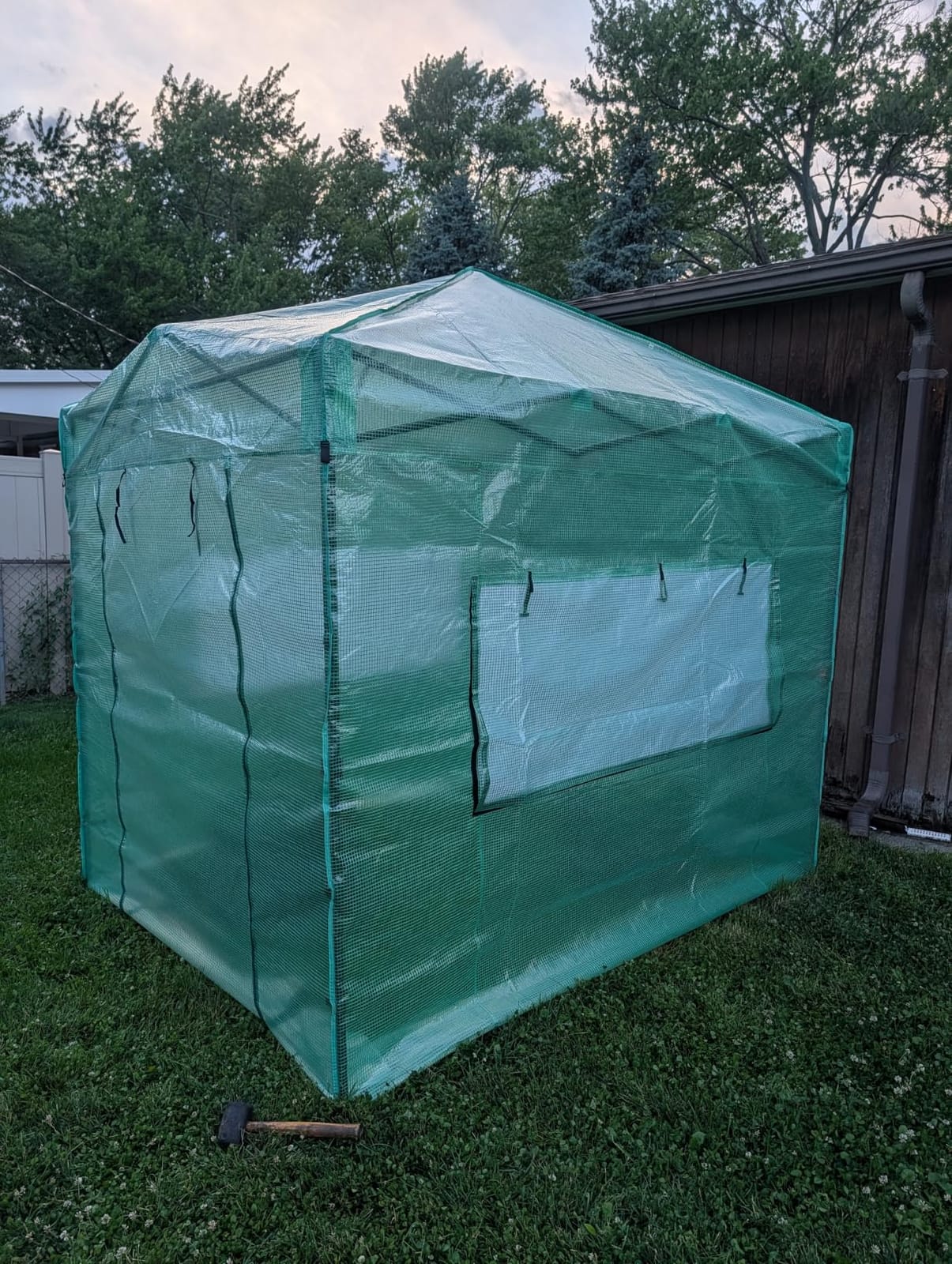 CROWN SHADES 12X8 Pop Up Outdoor Walk-in Portable Greenhouse,Green customer photo 1