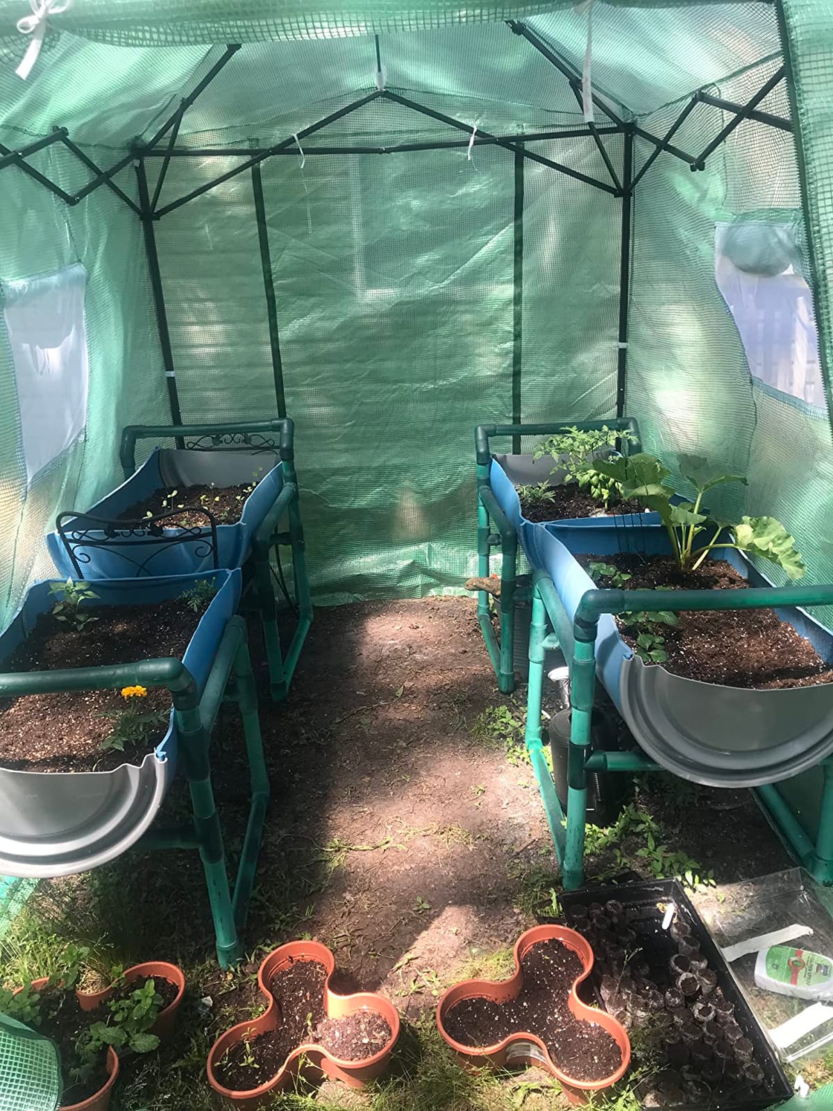 CROWN SHADES 12X8 Pop Up Outdoor Walk-in Portable Greenhouse,Green customer photo 2