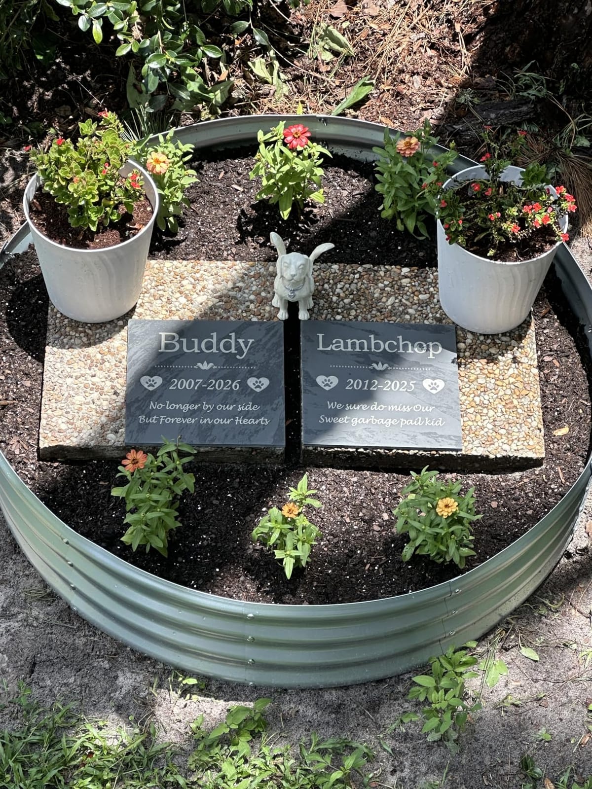 12 Inch Tall 72 Inch Diameter Round Silver Raised Garden Bed Kits Outdoor customer photo 1